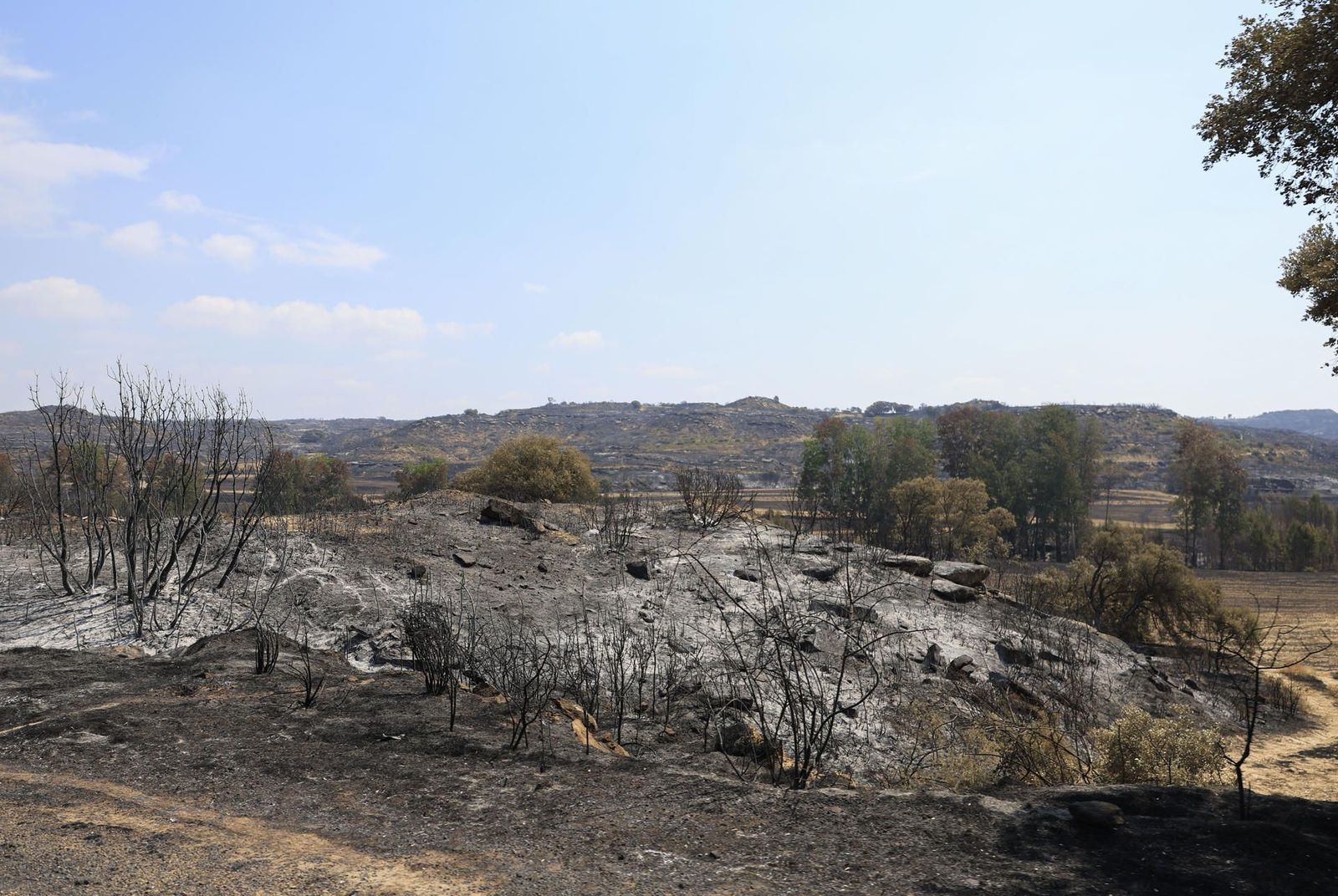 El avance del incendio de Orés (Zaragoza) pone en preaviso a cuatro municipios más