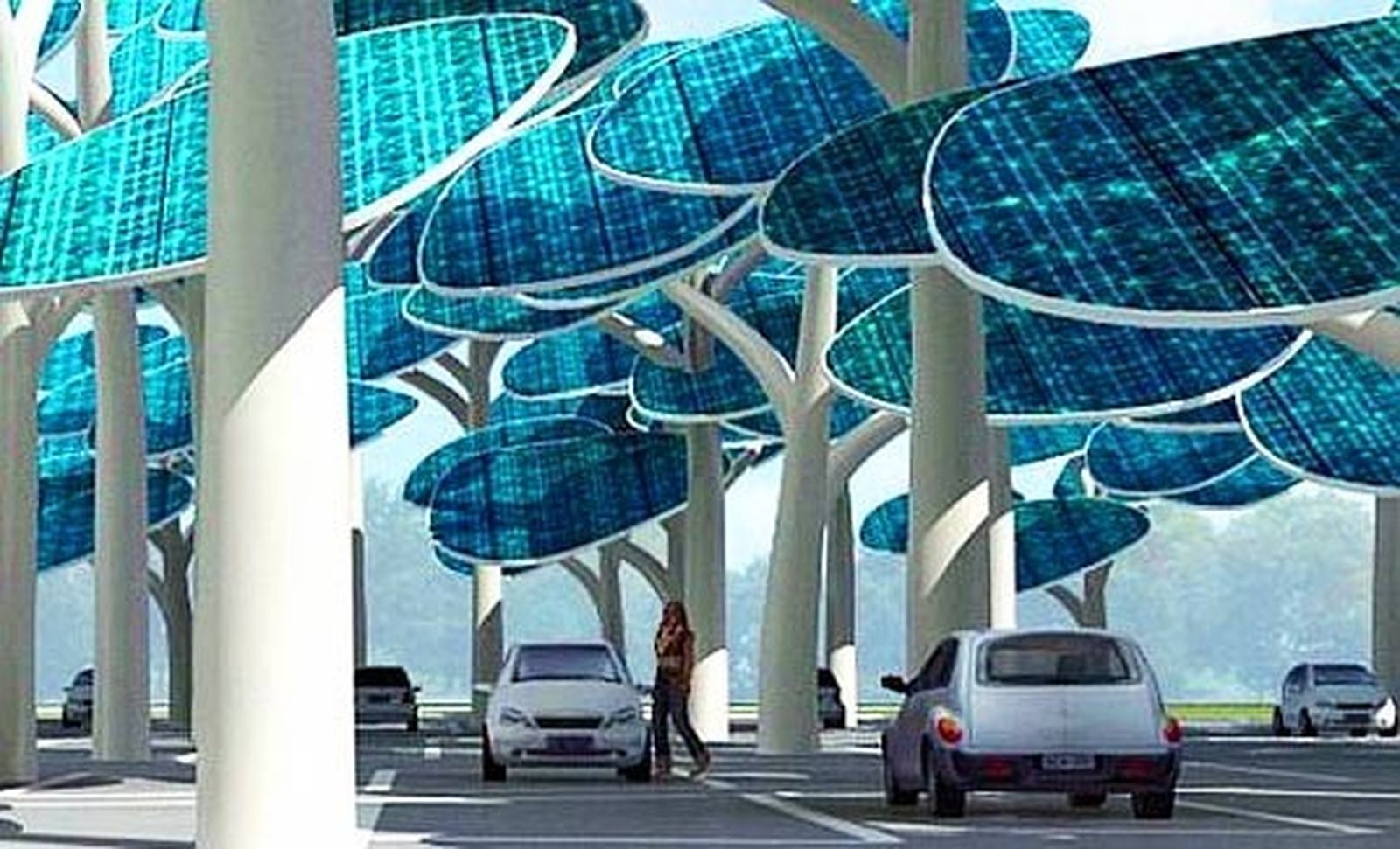Bosque solar