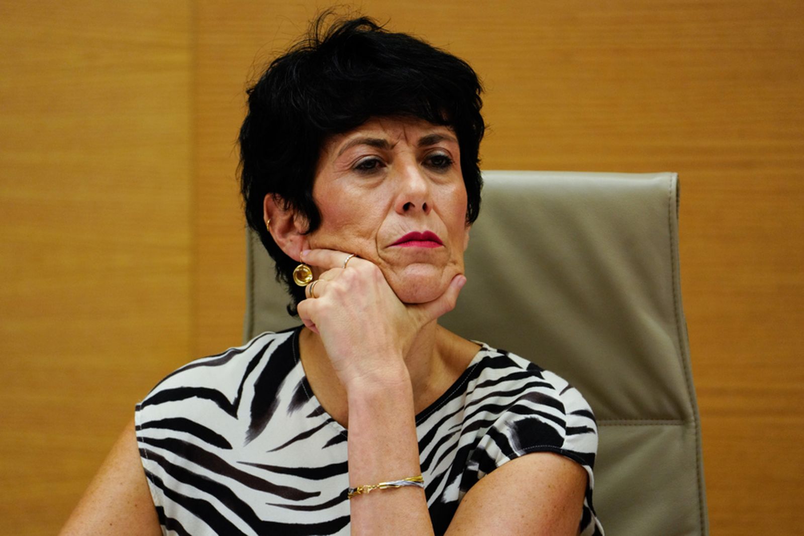 Comparecencia de la ministra Elma Saiz en el Congreso