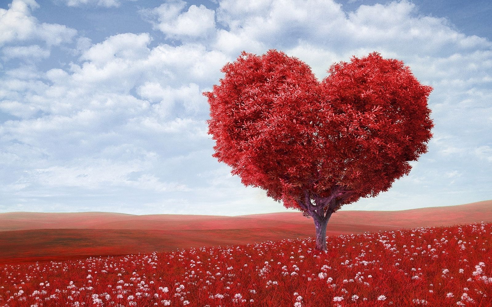 San Valentín