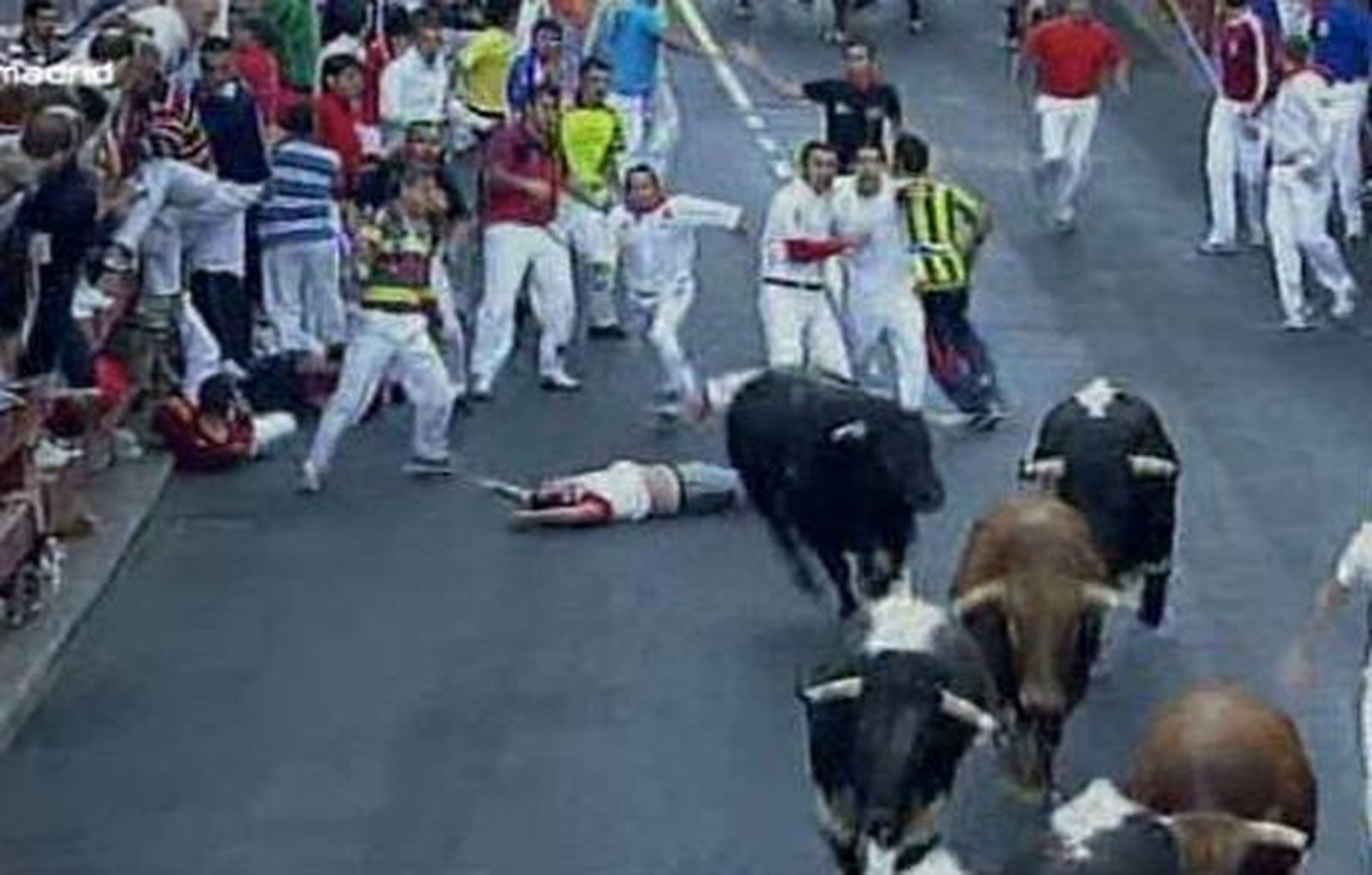 Dos heridos por asta de toro en el tercer encierro de San Sebastián de los Reyes