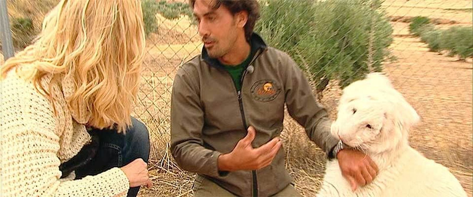 Los Santos de la Humosa: Animales de cine