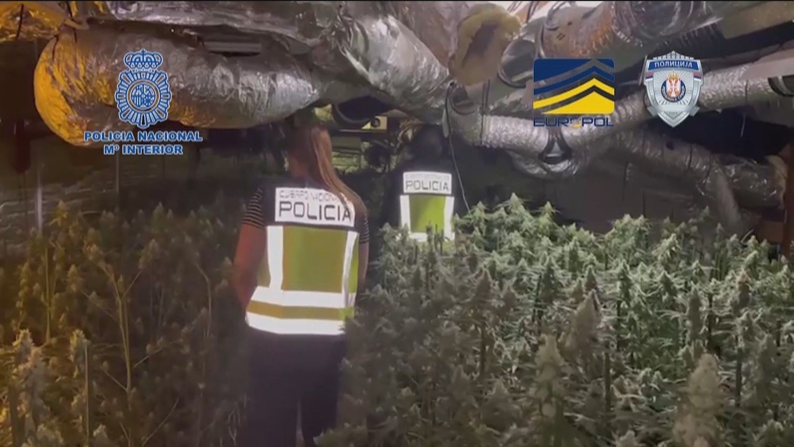 Desmantelan una red de tráfico de armas y drogas que operaba entre España y Serbia
