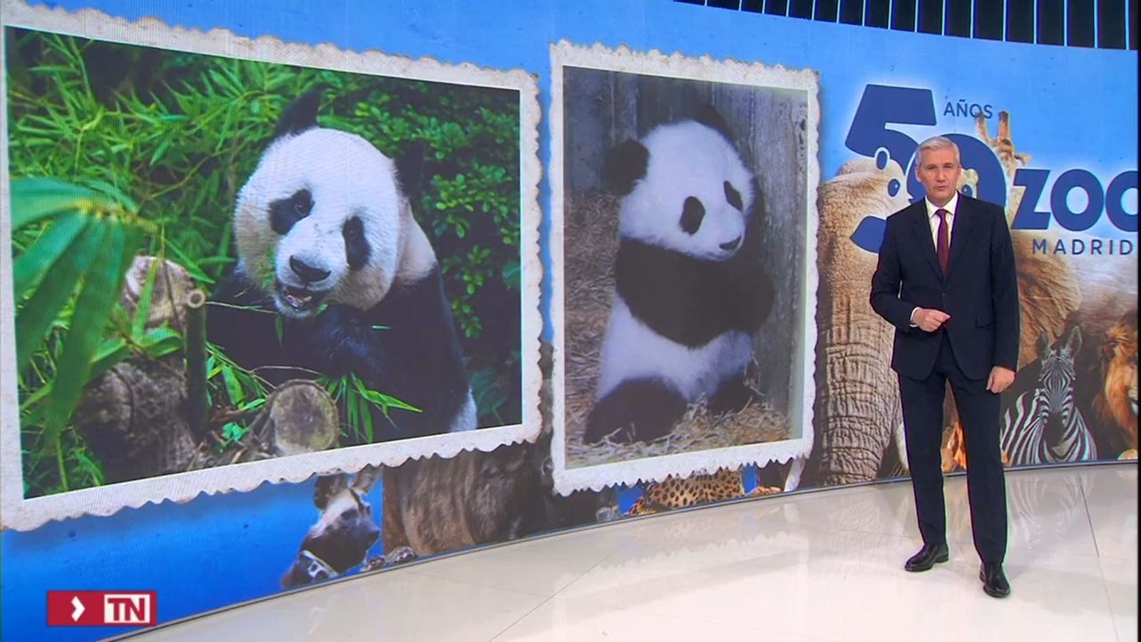 50 aniversario del zoo de Madrid