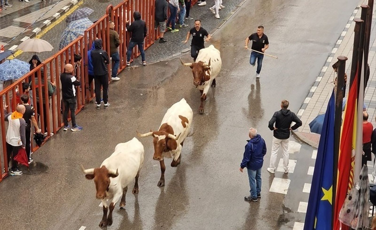 Cogida en el cuarto encierro en Arganda del Rey