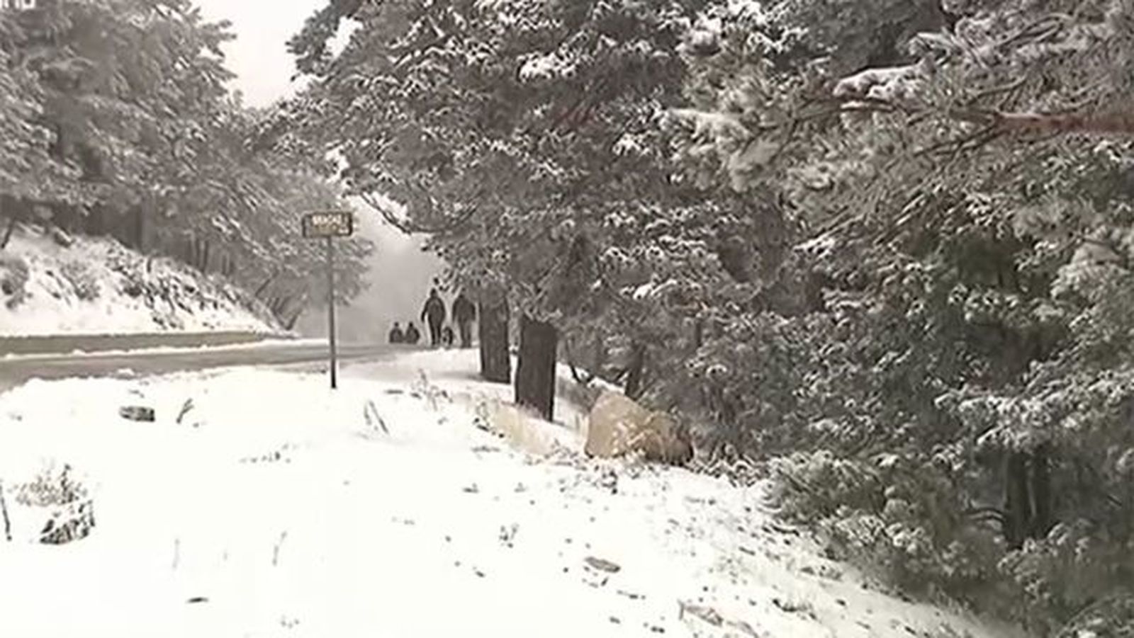 Navacerrada se tiñe de blanco