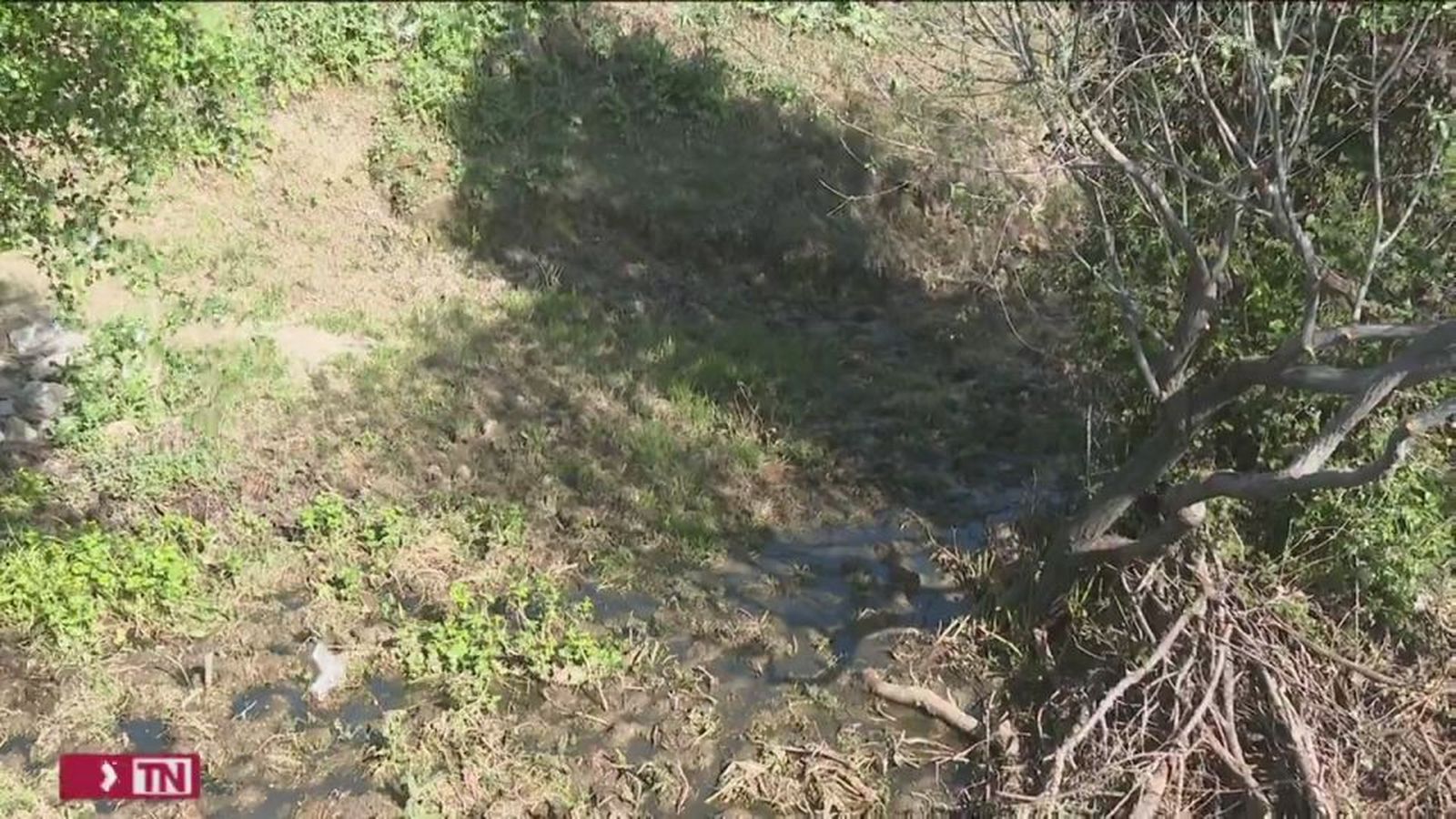 Sin agua, sin pasto... los ganaderos madrileños están al límite