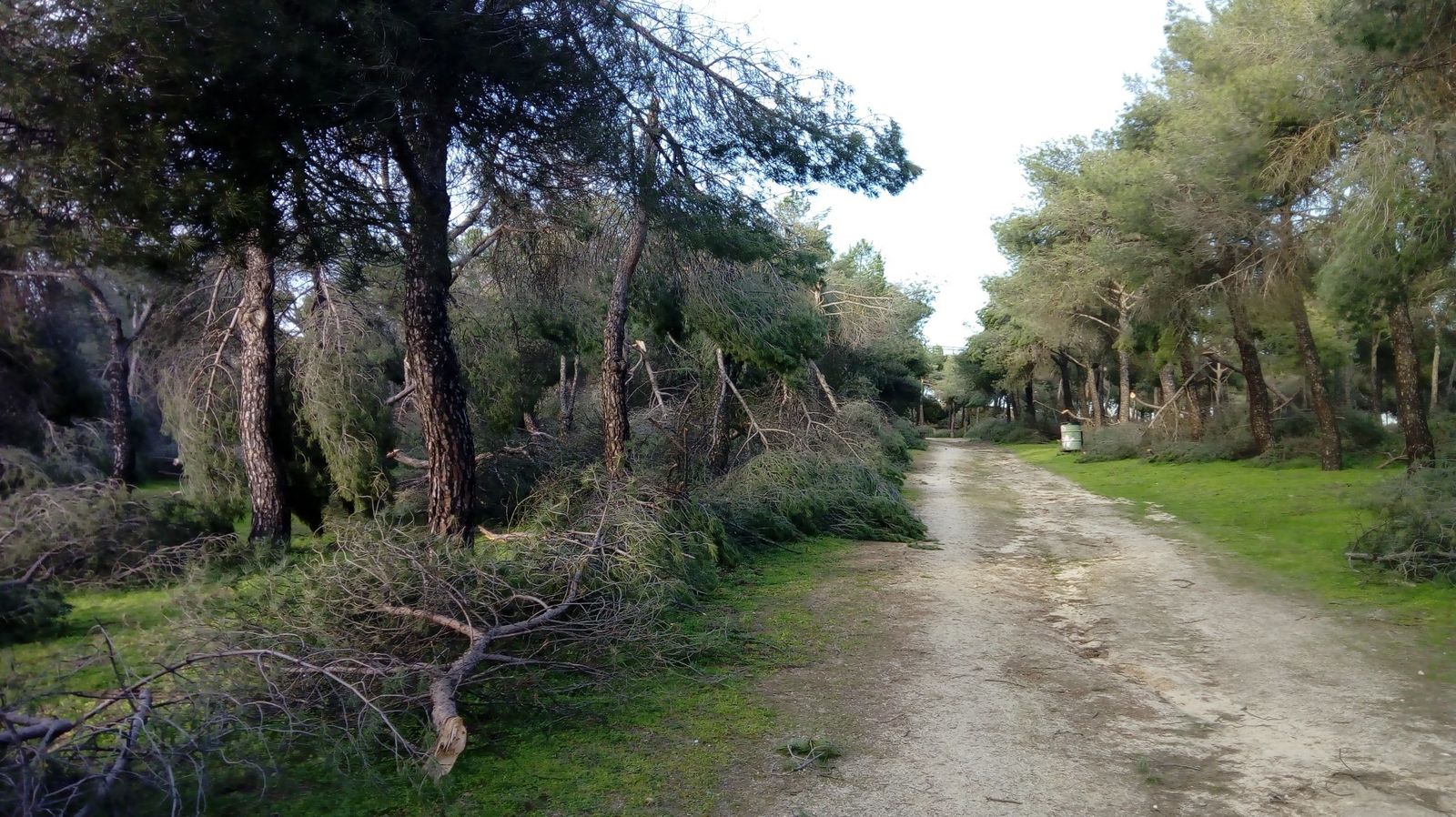 Parque de Las Presillas de Alcorcón