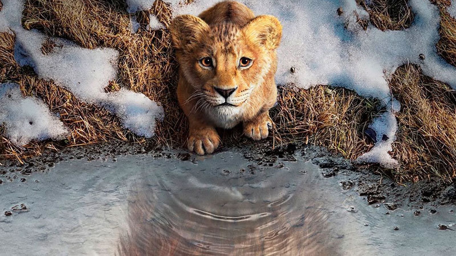 ‘Mufasa: el rey león’