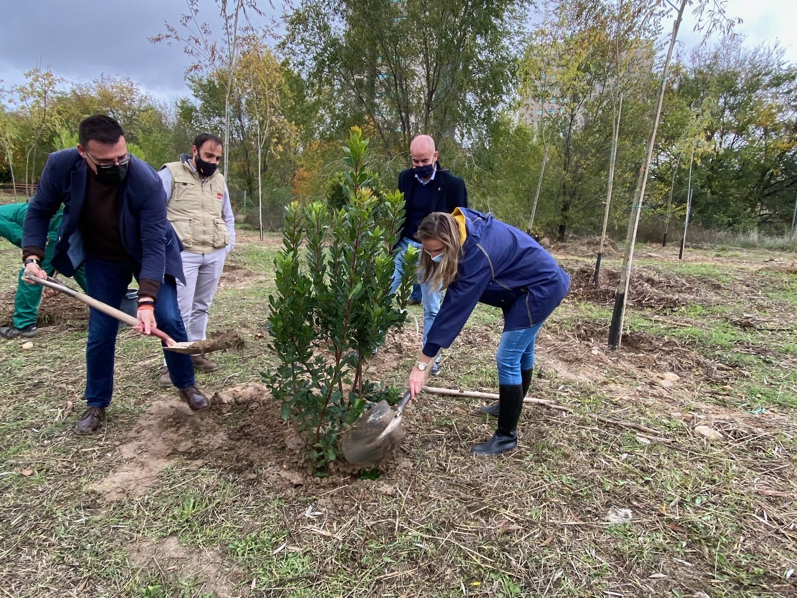 Comienzan las obras de conectividad del Arco Verde de Alcobendas