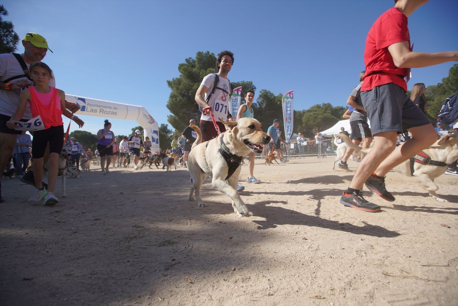 CaniCross de Las Rozas
