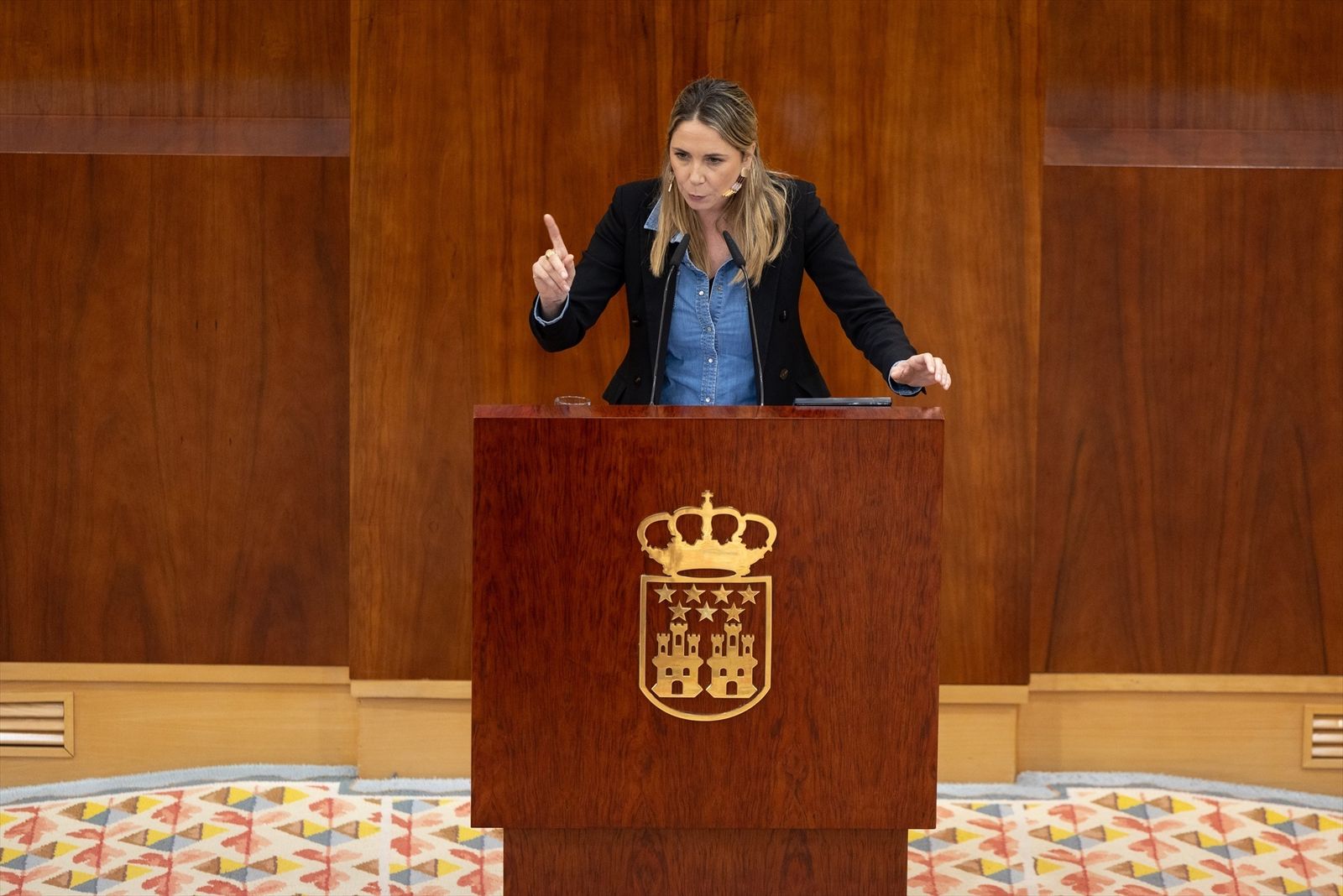 La diputada del PSOE en la Asamblea, Mar Espinar, interviene durante un pleno en la Asamblea de Madrid