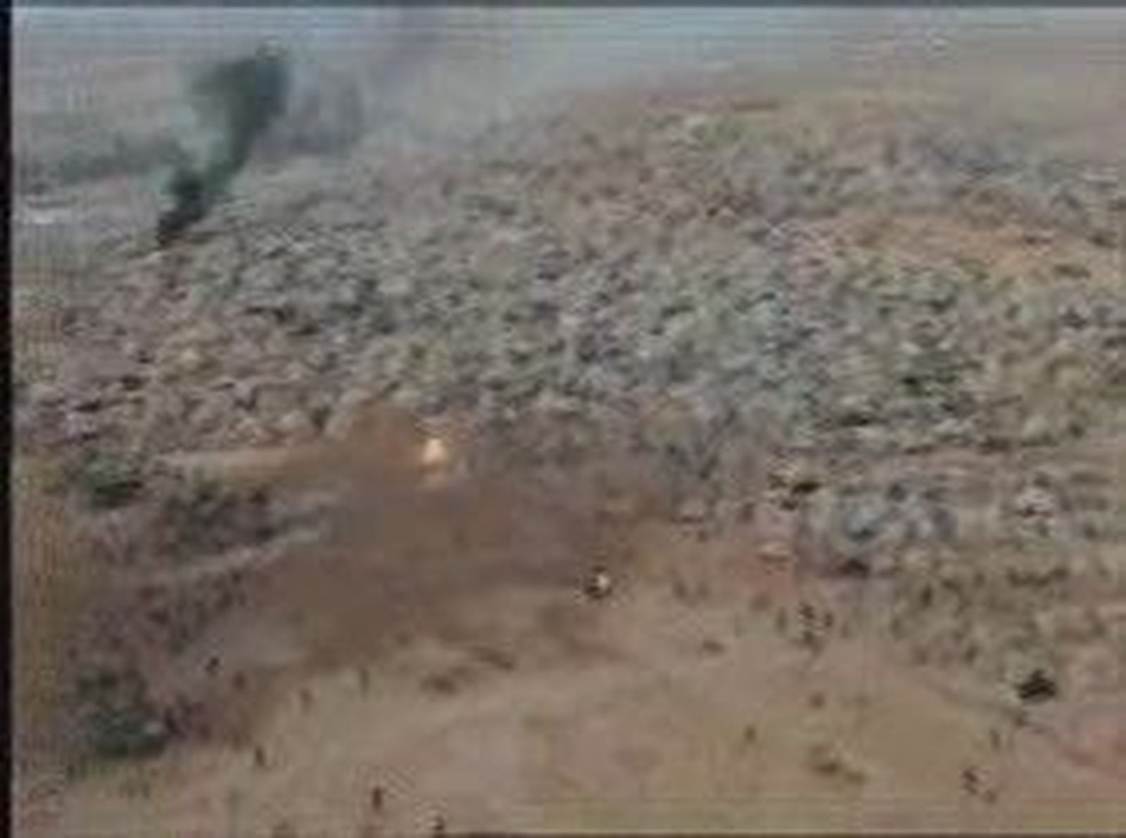 Grupos del Senado sobre el Sahara