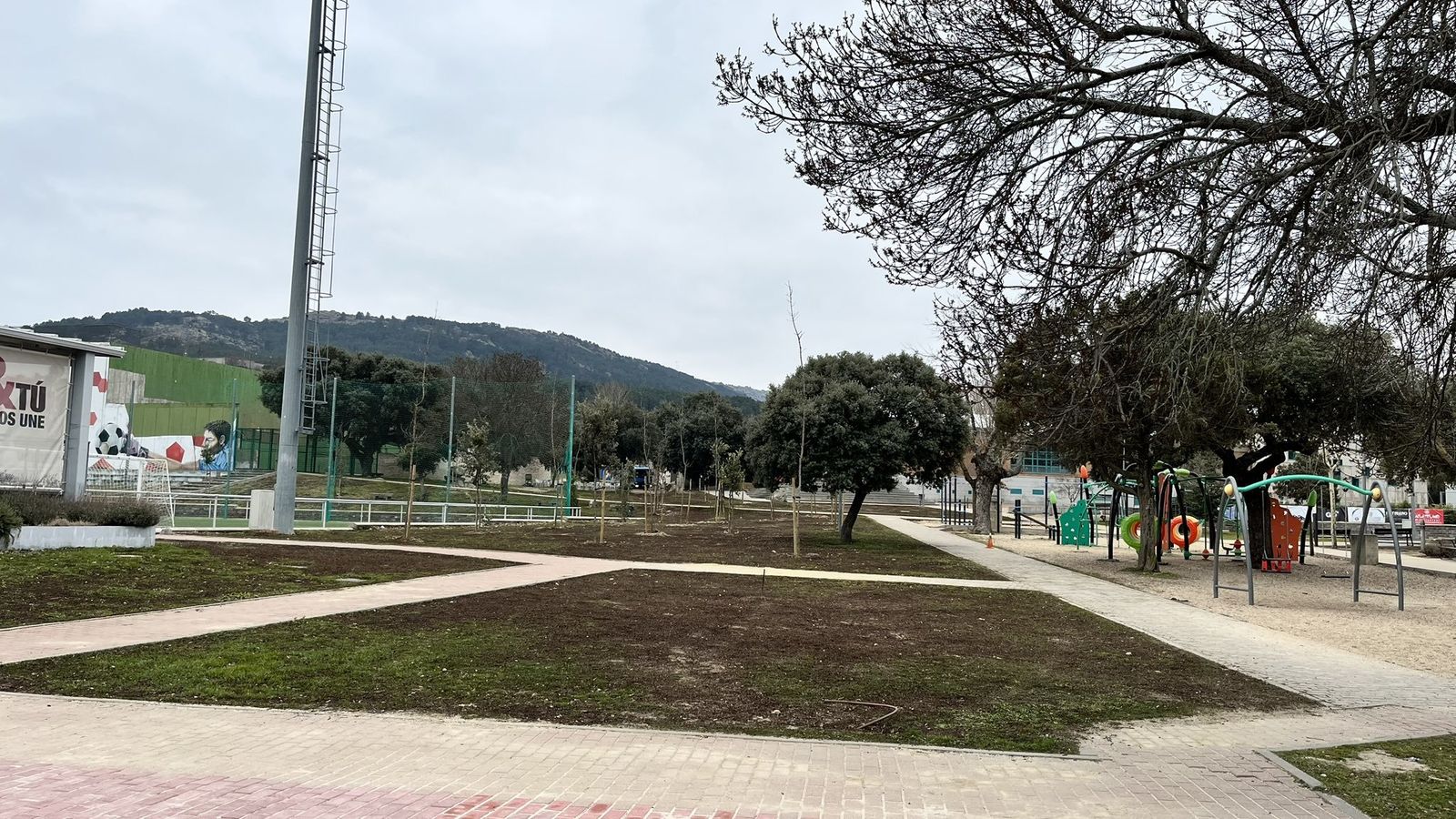 Árboles autóctonos plantados recientemente en el polideportivo de Moralzarzal