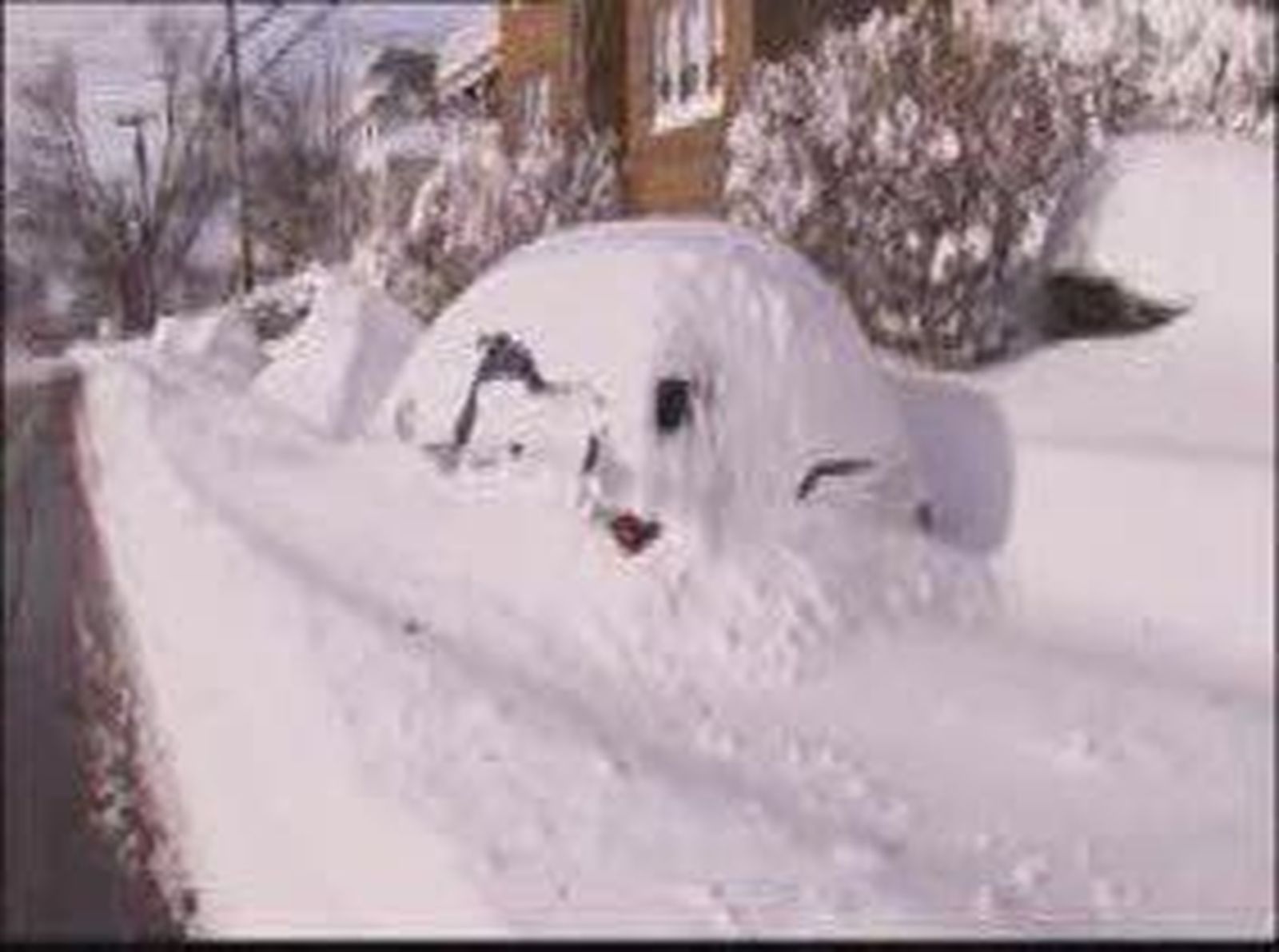 nieve_york_20101228V0.wmv