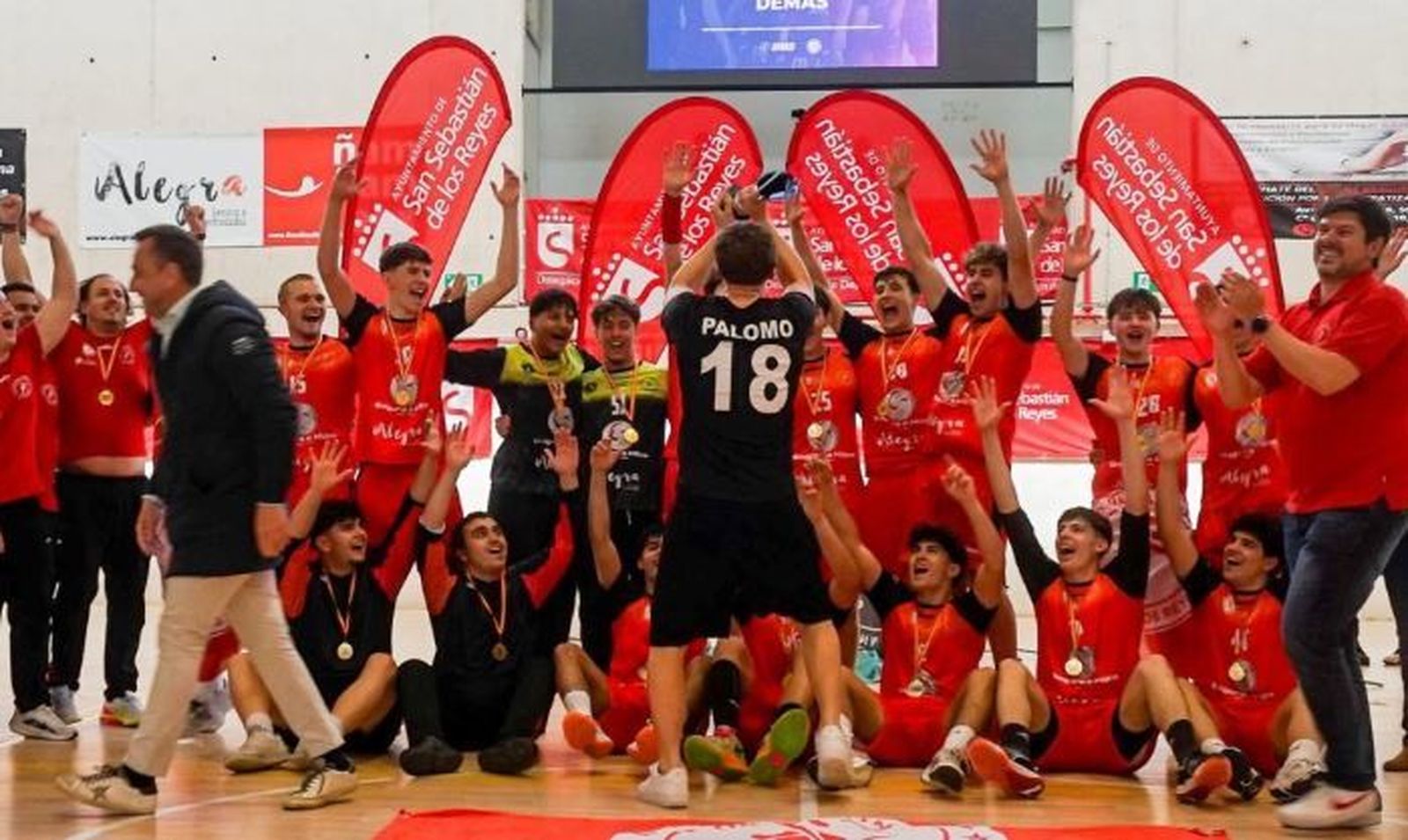 Balonmano Sanse