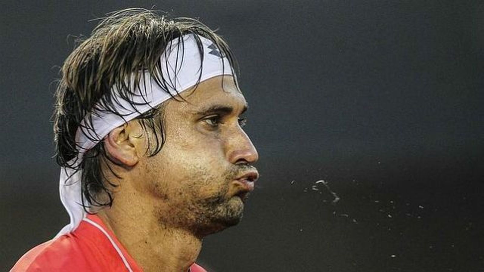 Ferrer jugará la final de Río, donde no estará Nadal