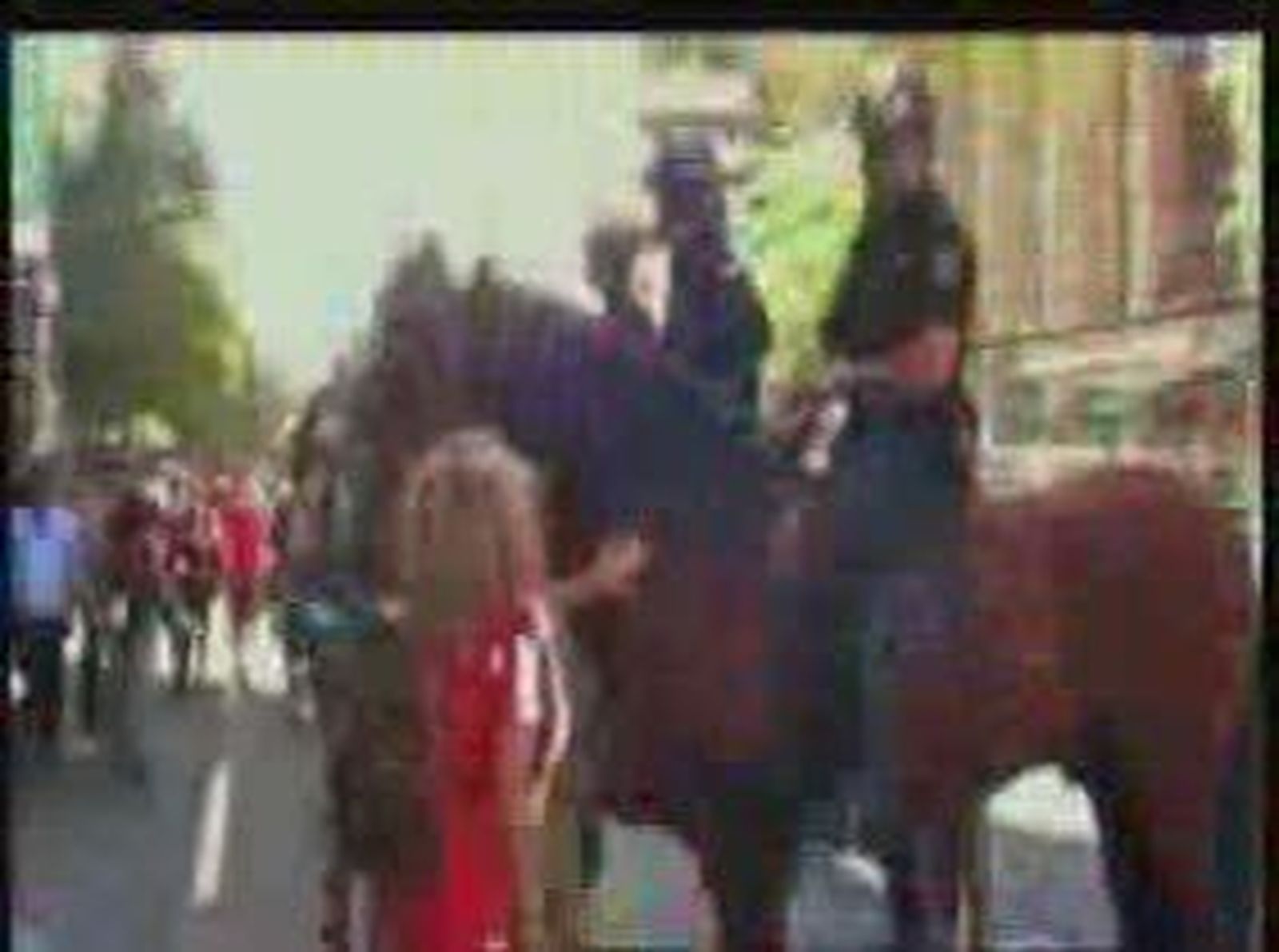 policia_redessociales_2010119V0.wmv