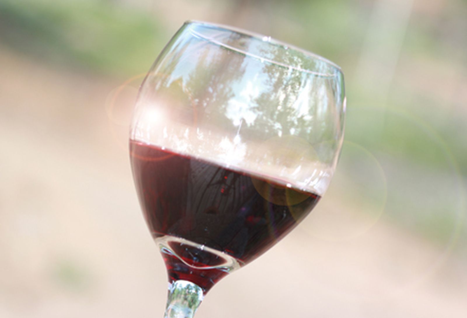 VINO_MUSICA1