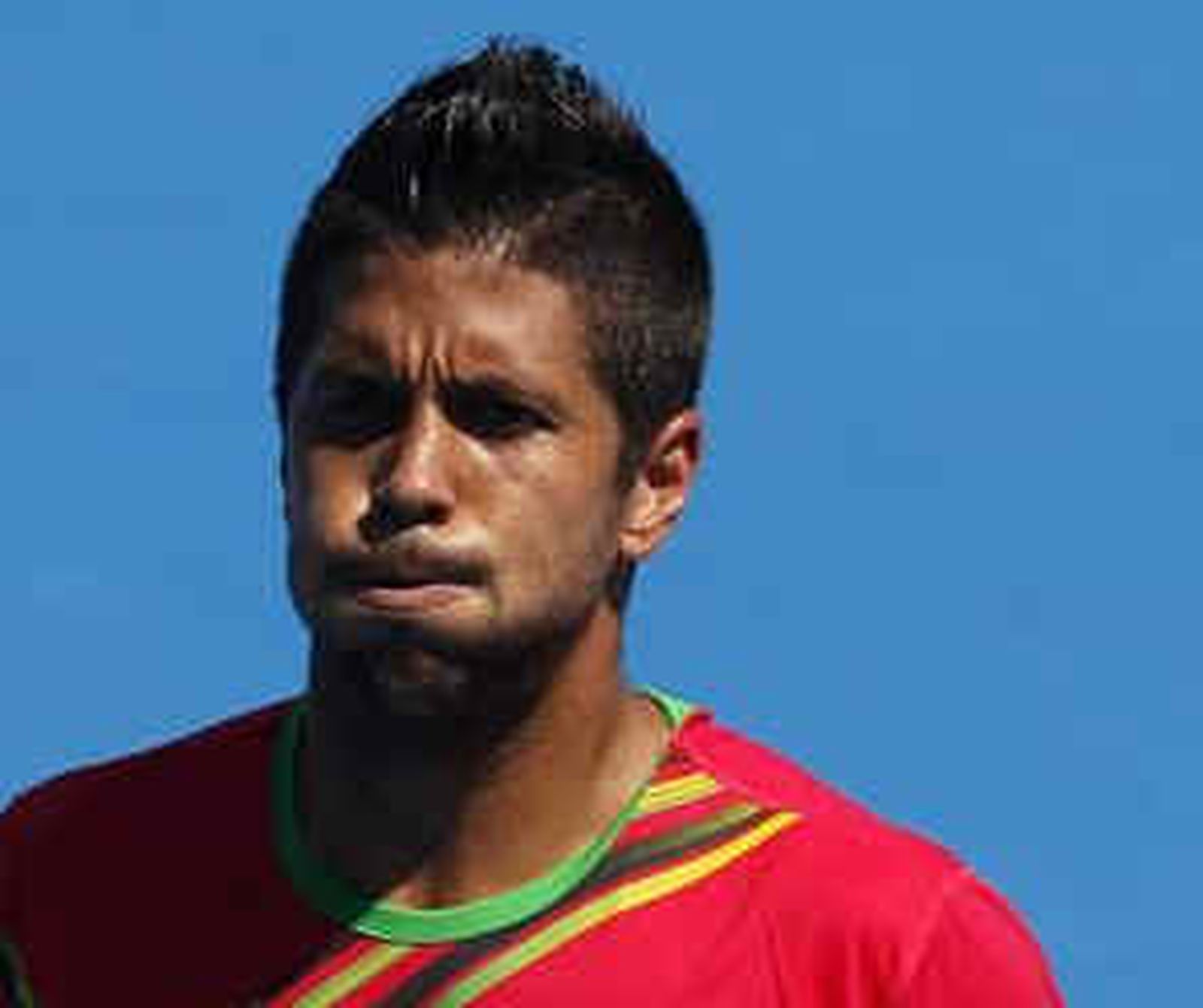 verdasco233