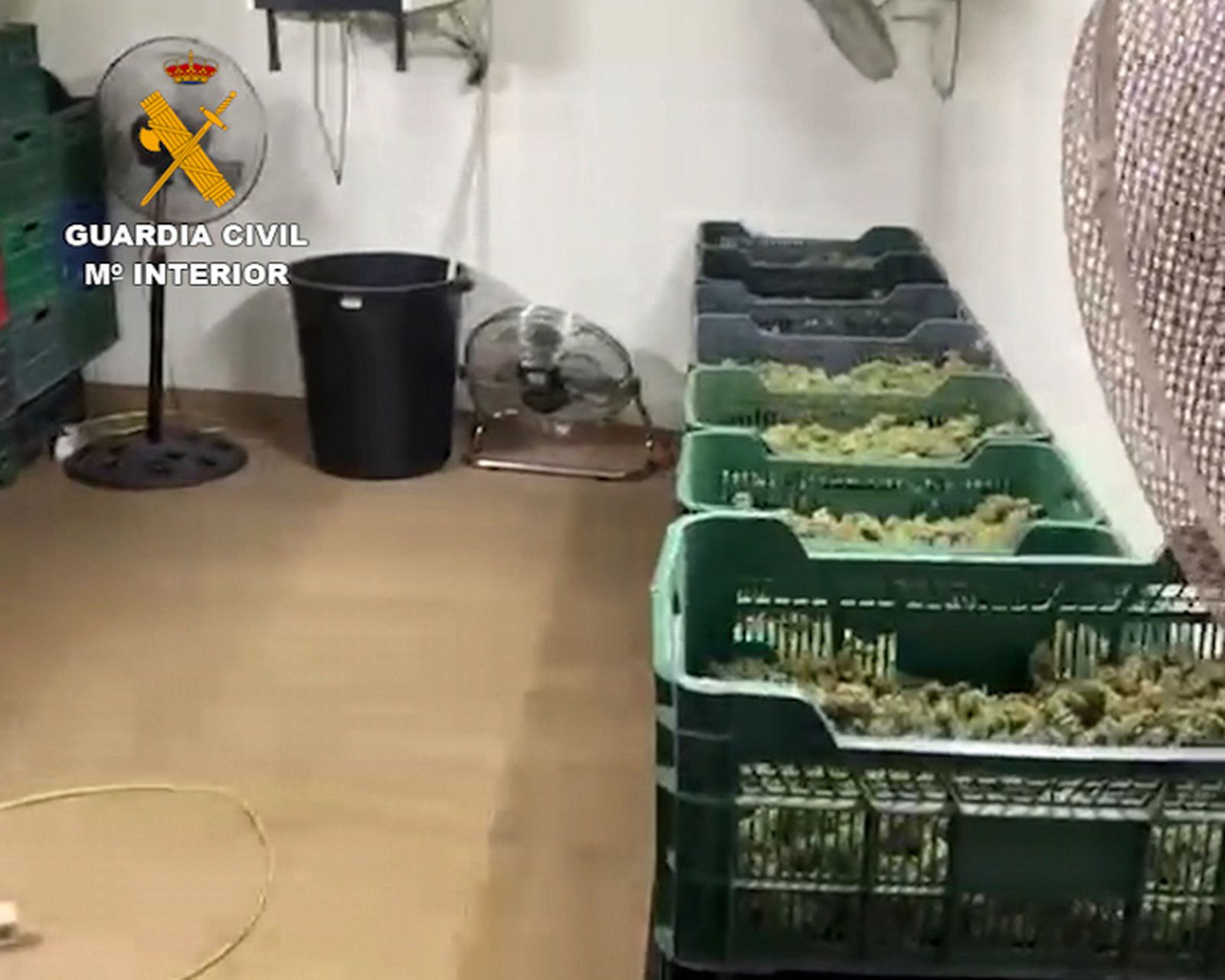 Marihuana incautada por la Guardia Civil