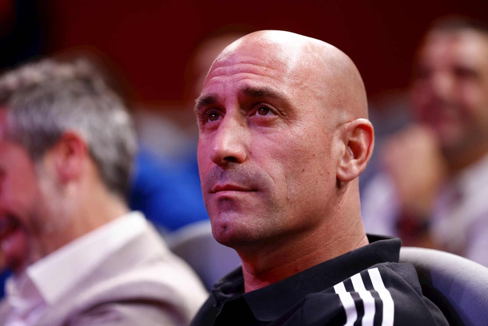 Luis Rubiales, presidente de la RFEF