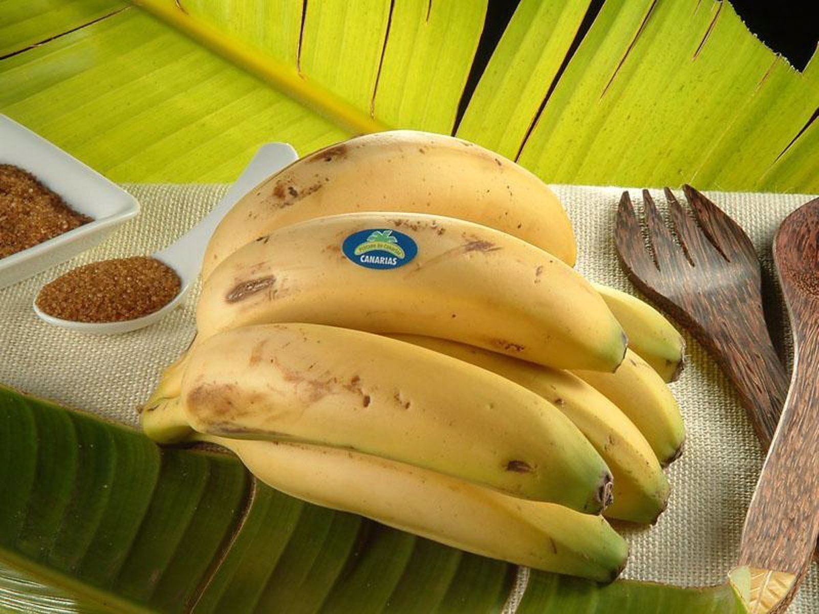 ¿Qué alimentos podemos congelar y cuáles no en verano?