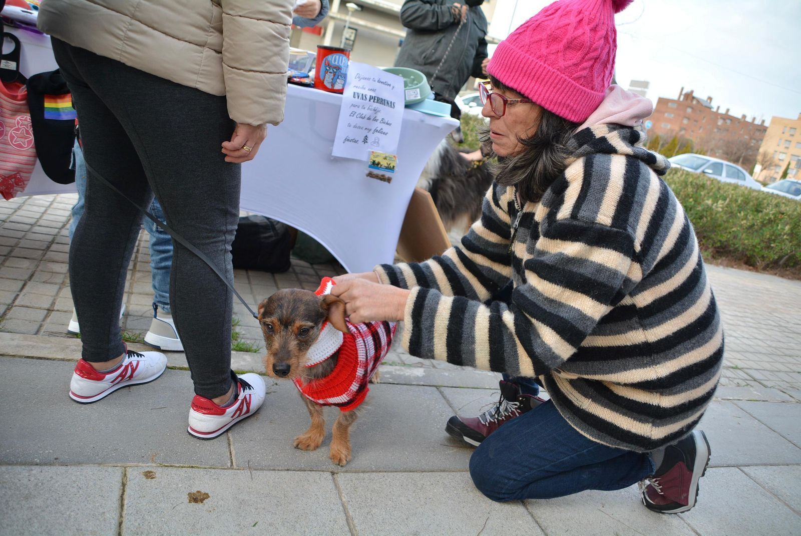 Preuvas caninas de 2022 en el Ensanche de Alcorcón
