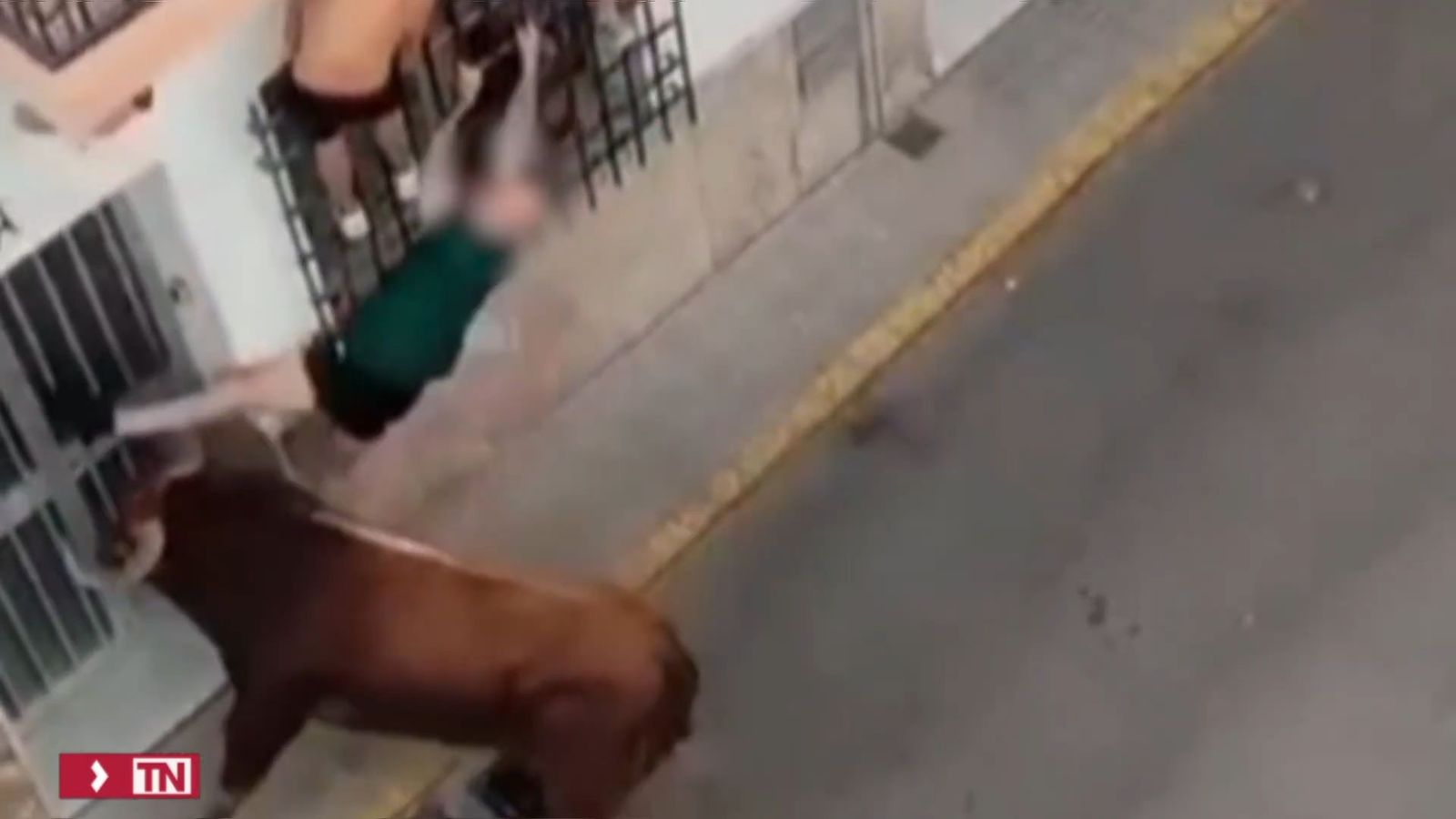 Muere en Ubrique (Cádiz) tras ser corneado por un toro varias veces