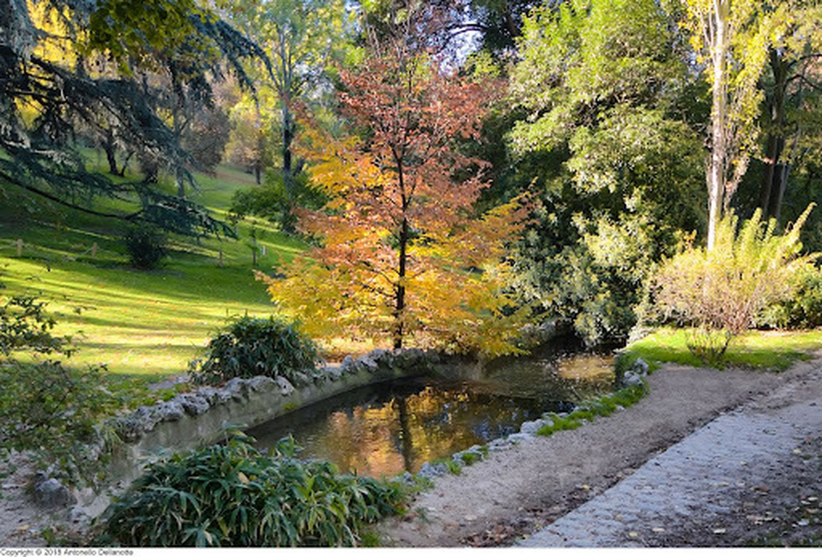 Estanque y ría del Parque del Oeste