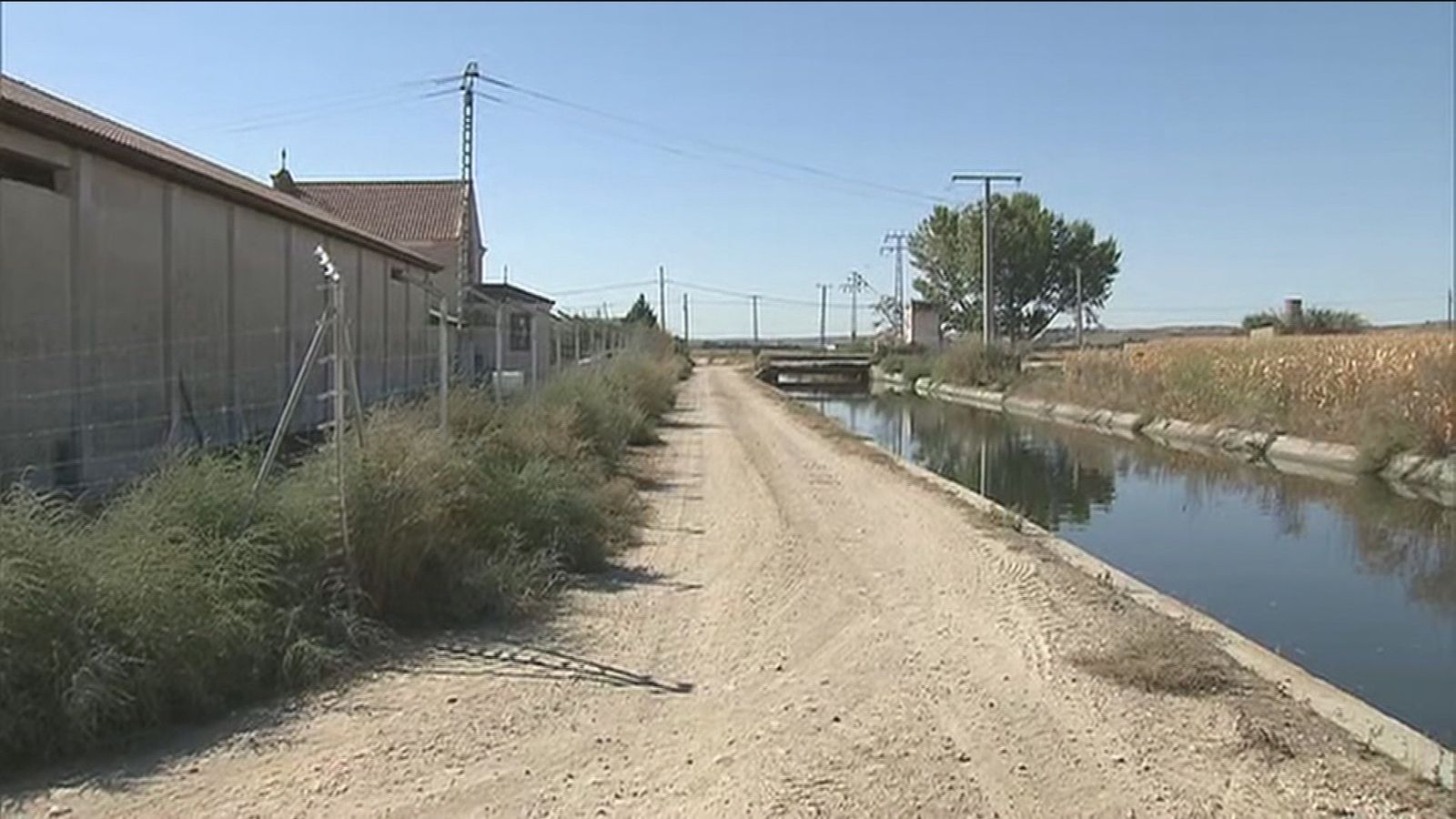 Canal del Jarama