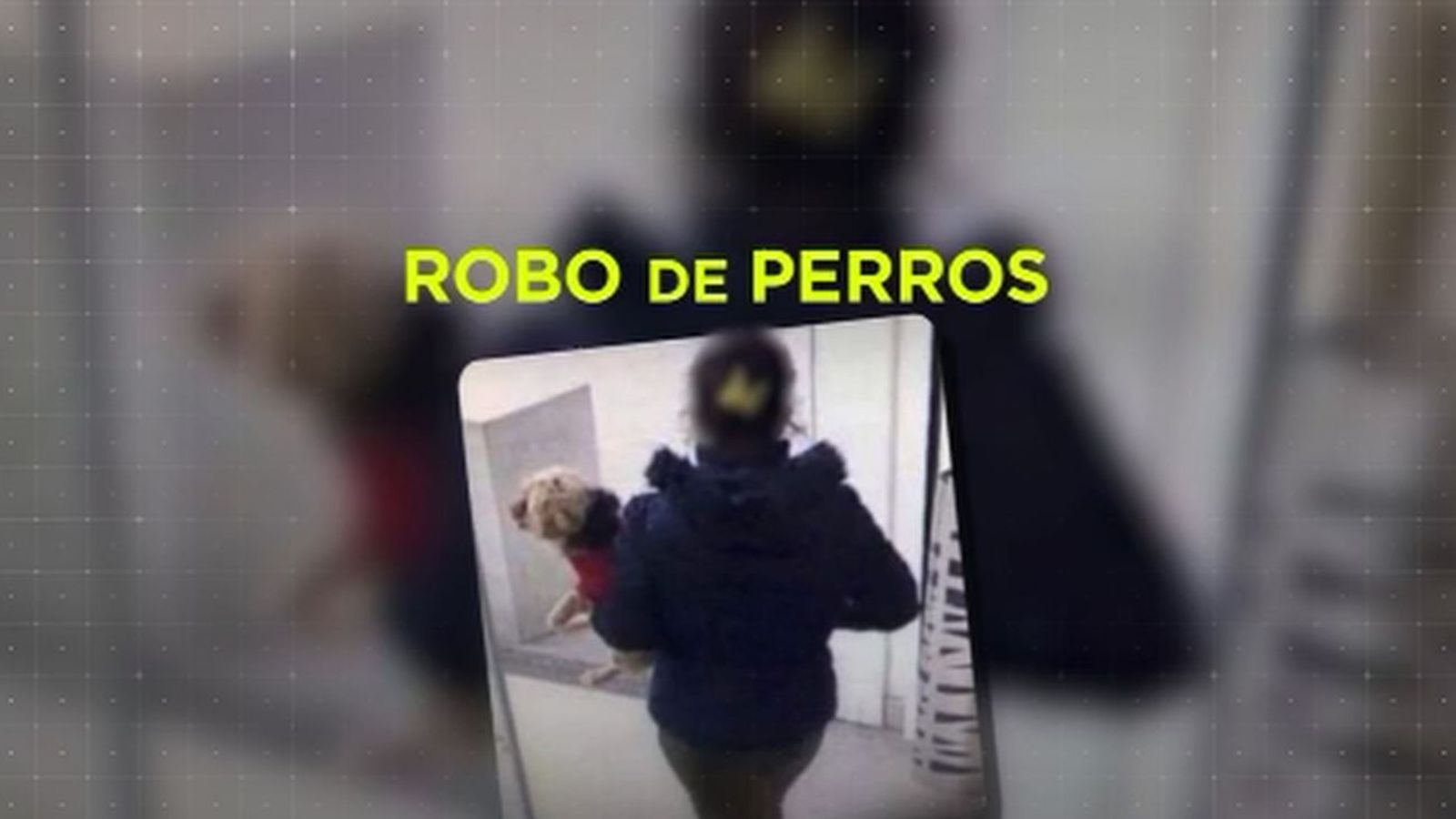 Madrid Directo 29.01.2020