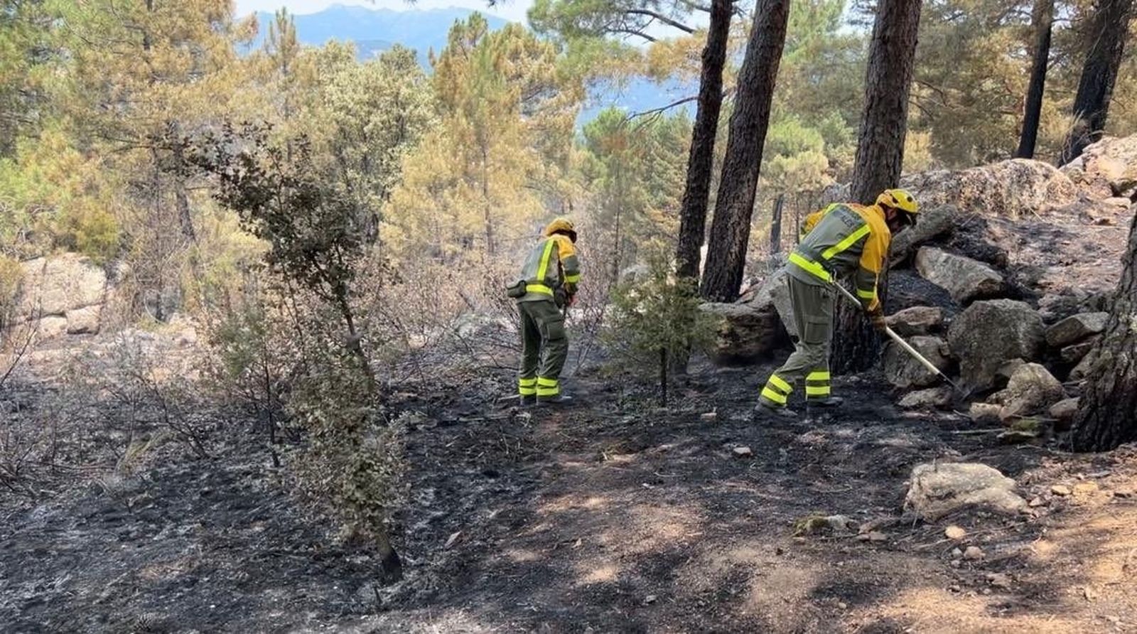 Bomberos de Madrid