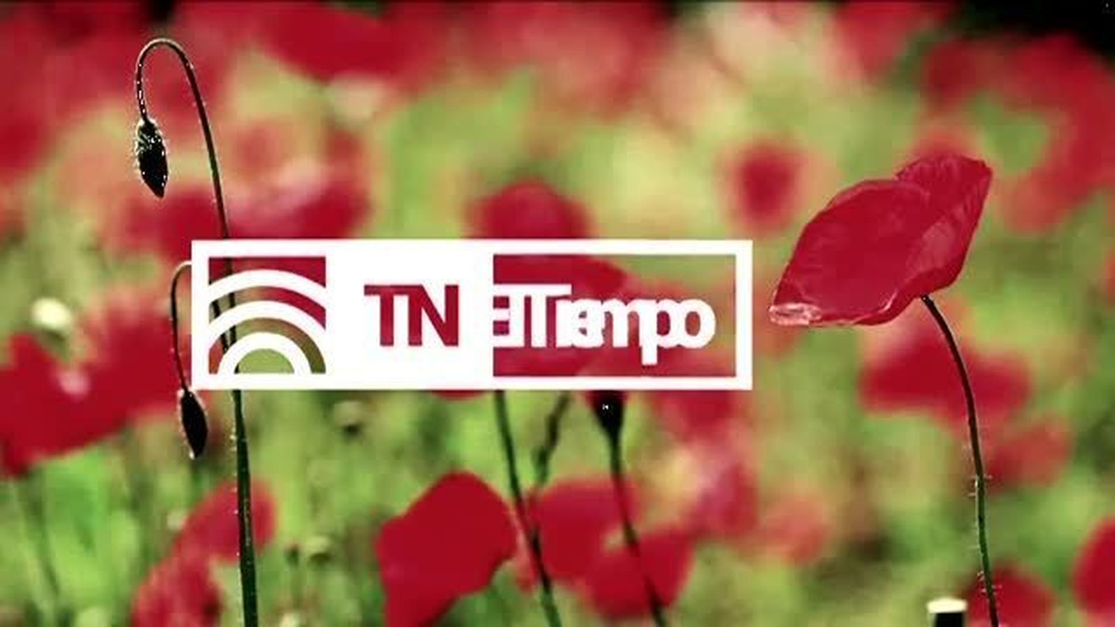 El Tiempo 1 03.02.2018