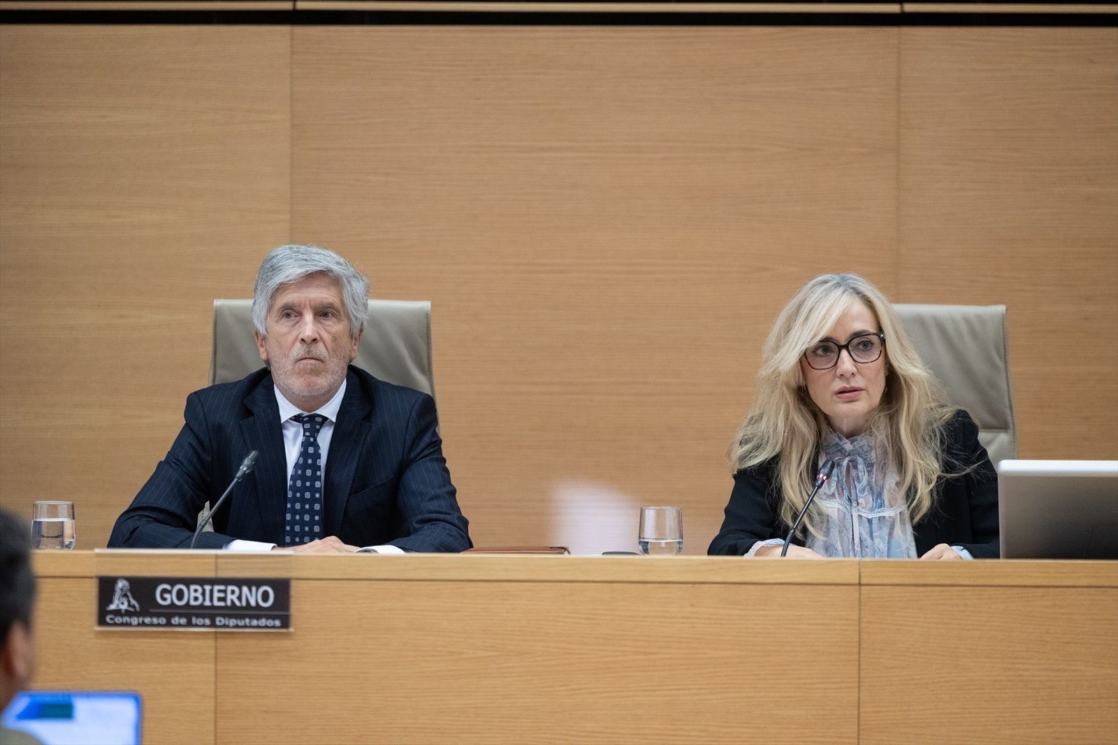 Marlaska no menciona al CNI en los 40 minutos de su comparecencia en el Congreso