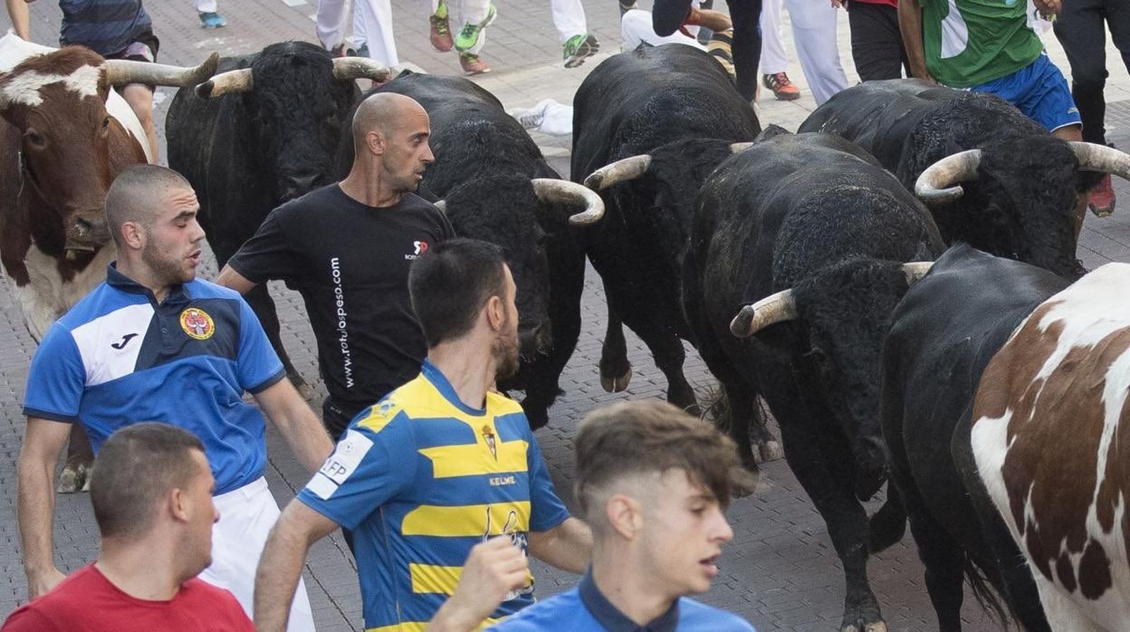 Pinto celebra la vuelta de los encierros a sus fiestas patronales