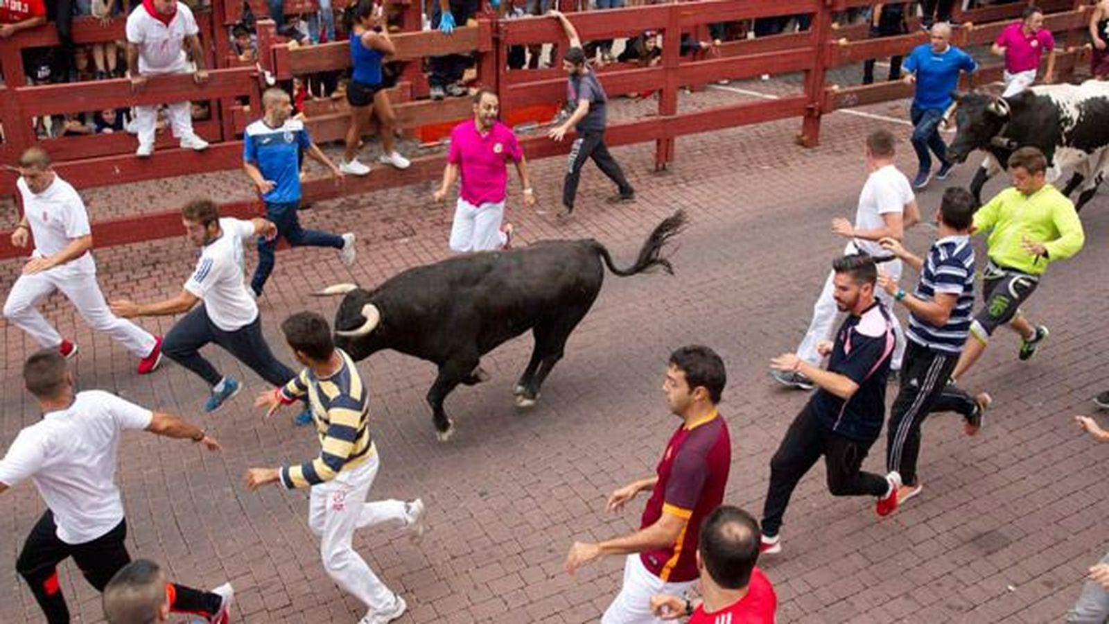 Seis heridos leves en el segundo encierro de San Sebastián de los Reyes