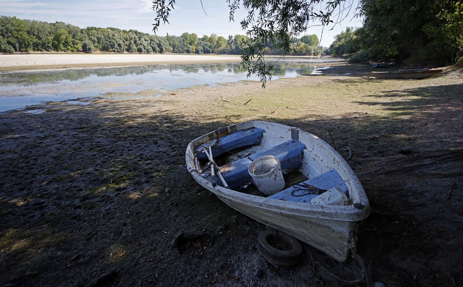 Bajo nivel de agua en el río Rhin en Ketsch, cerca de Mannheim, Alemania.