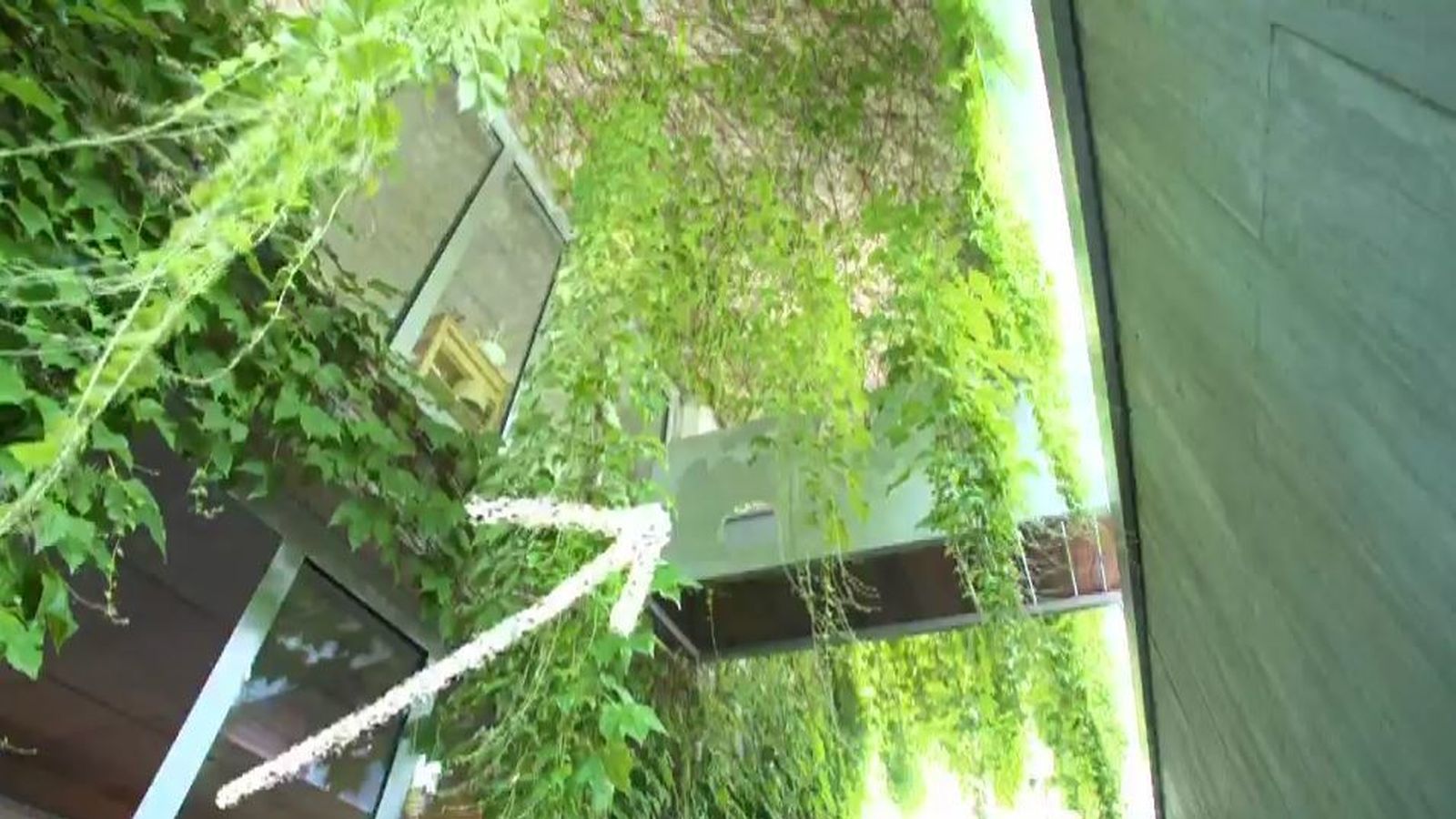 El chalet está en Soto del Real y tiene dos entradas. Una de ellas, este puente situado a casi cuatro metros de altura sobre un jardín inglés.