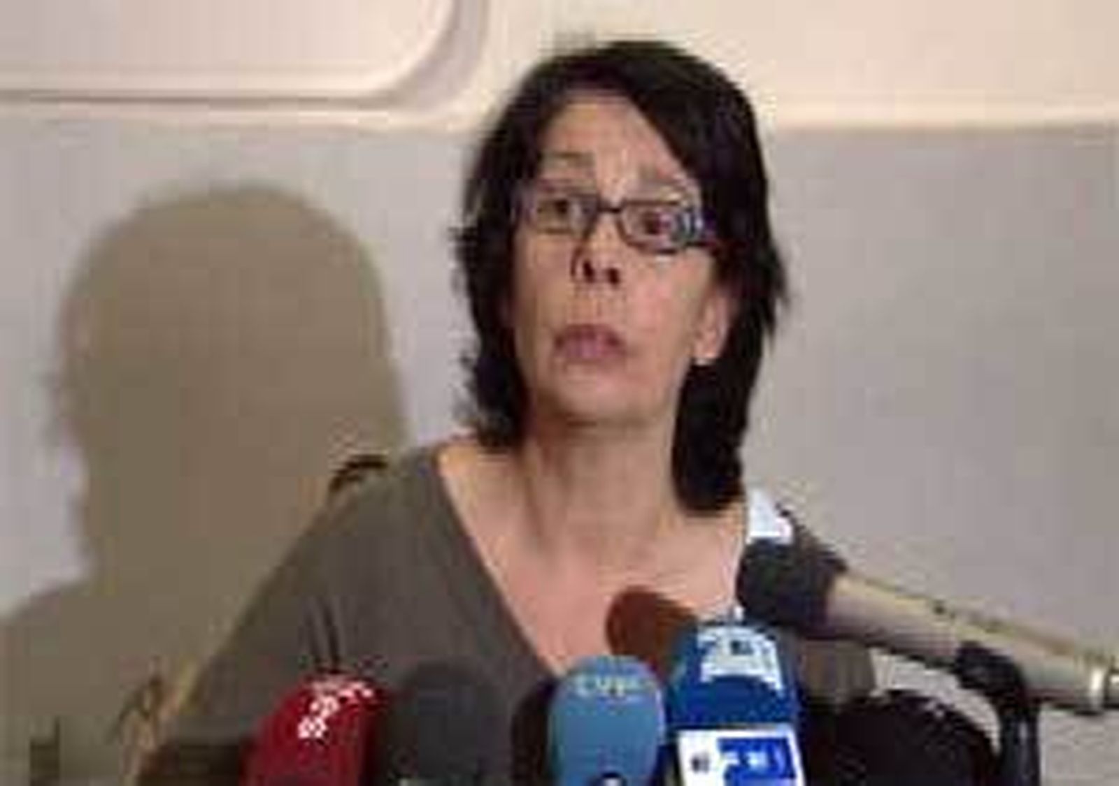 Inés Sabanés