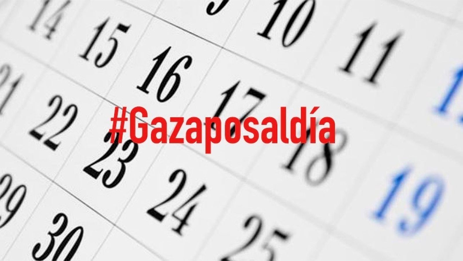 Gazapos al día
