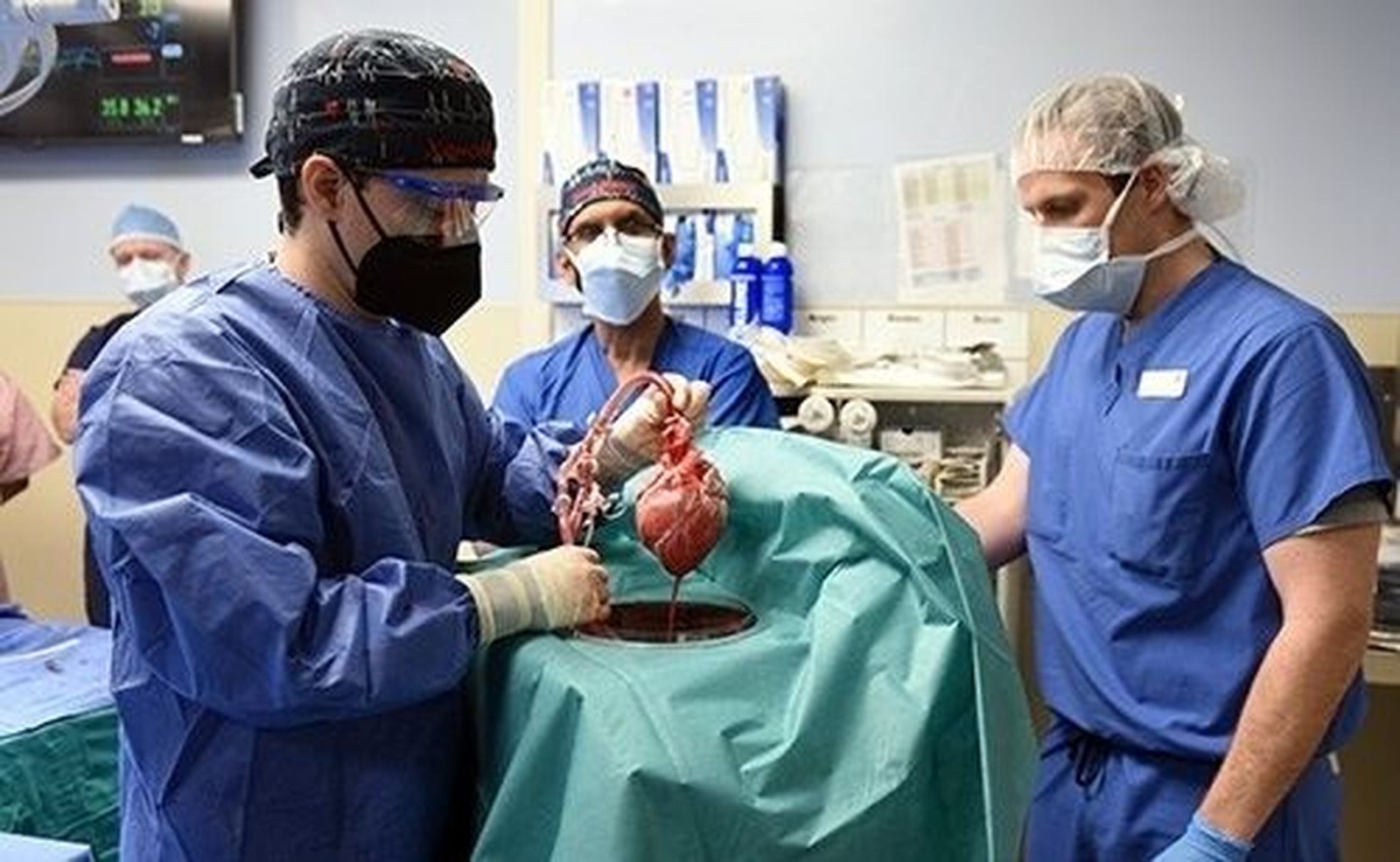 Primer trasplante con éxito del corazón de un cerdo a un hombre