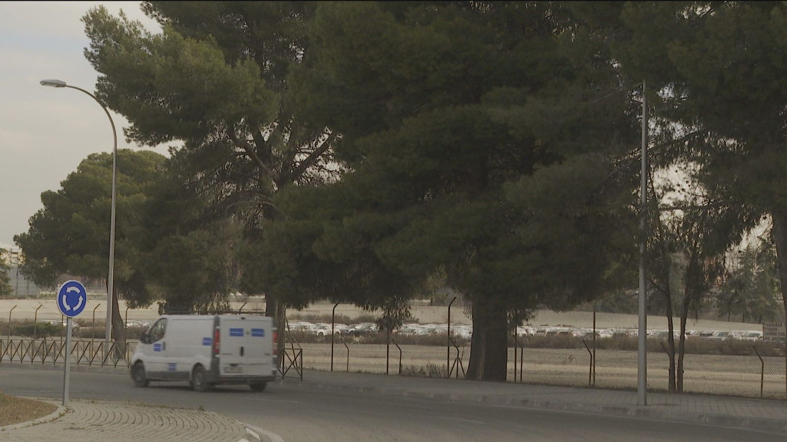 En El Retiro se reponen 450 árboles, en Villaverde temen la tala de 1.000