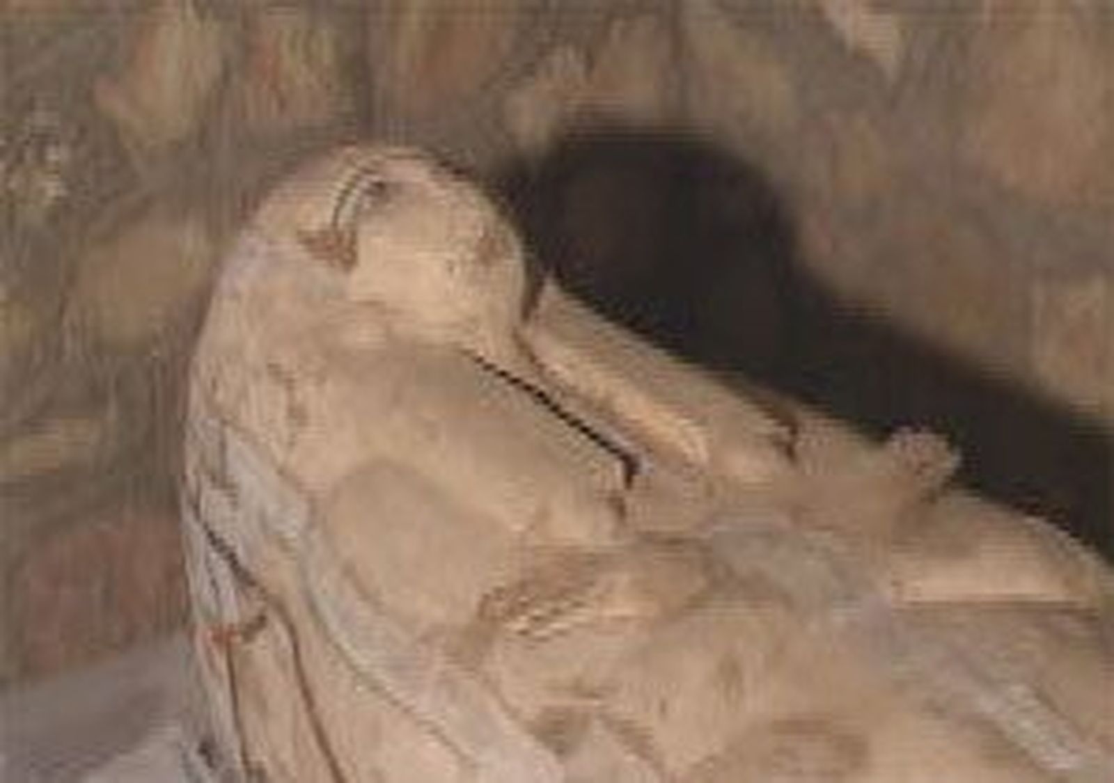 Saqueos y restos arqueológicos