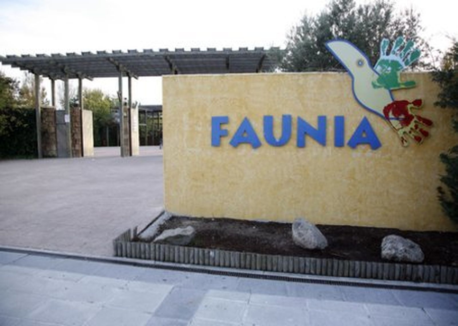 faunia470