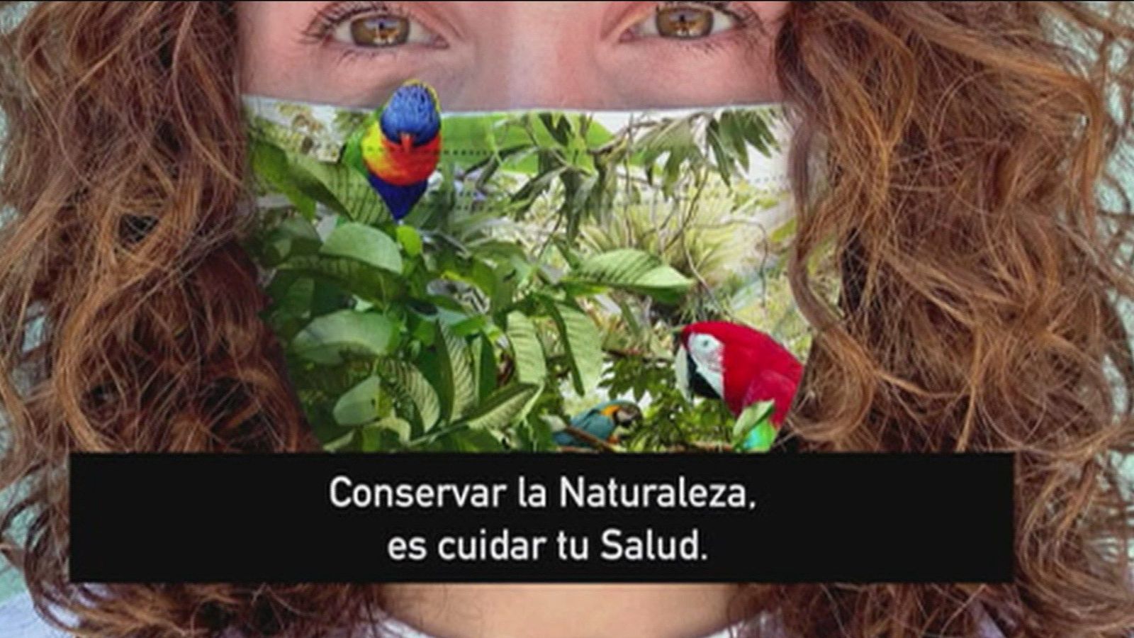 Un día Mundial del Medio Ambiente marcado por el covid-19