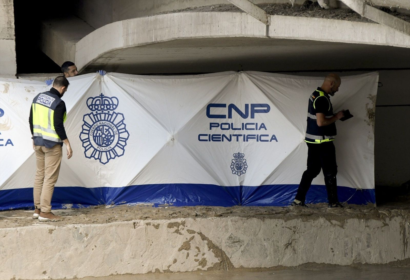 El mayor número de condenas judiciales en España durante 2024 estuvo relacionada con la seguridad vial