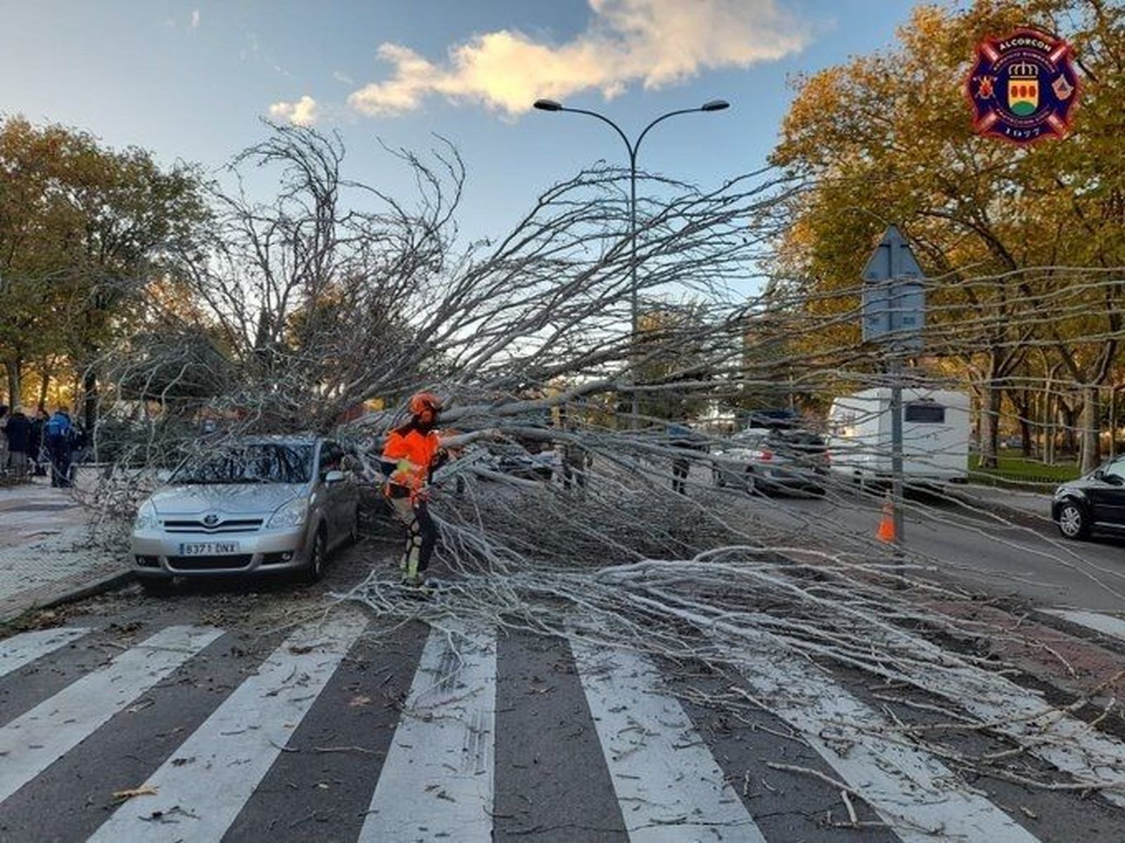 El tren de borrascas llega a Madrid con rachas de viento de hasta 90 kilómetros por hora