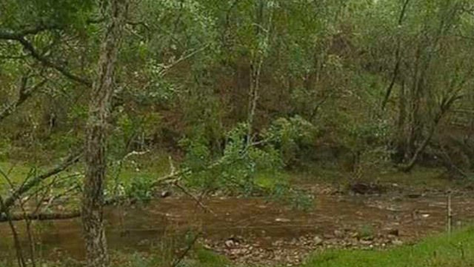 El Hayedo de Montejo, declarado Patrimonio Mundial por la UNESCO