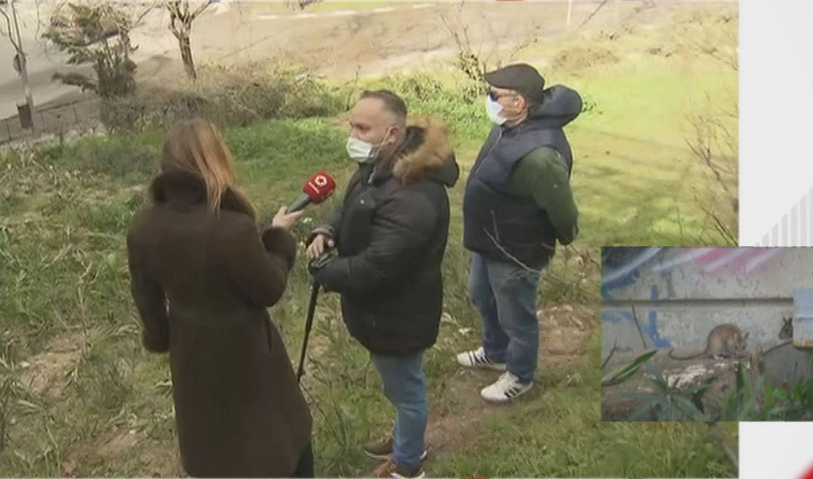 Denuncian que dan de comer pan y churros a las peligrosas ratas negras de Méndez Álvaro
